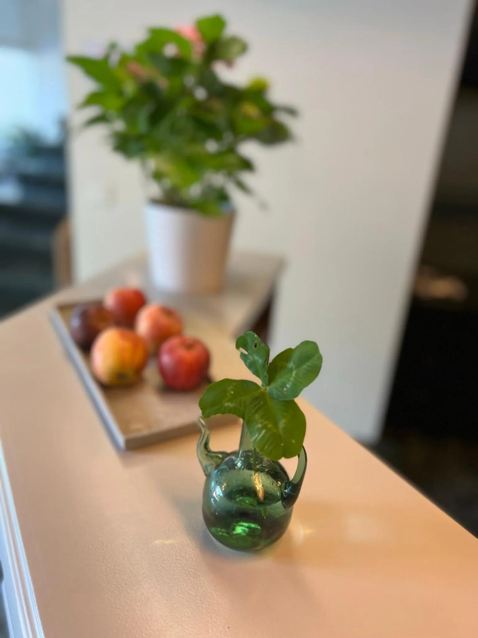 Lobby or reception in Weisses Rössli only Bed & Breakfast self check-in mit Sauna extra