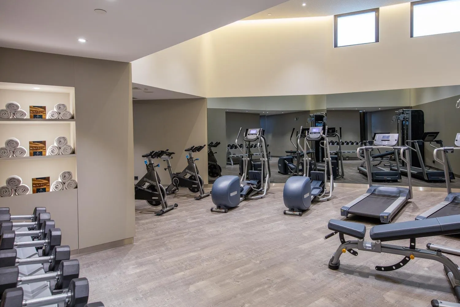Fitness centre/facilities in Áurea Museum by Eurostars Hotel Company