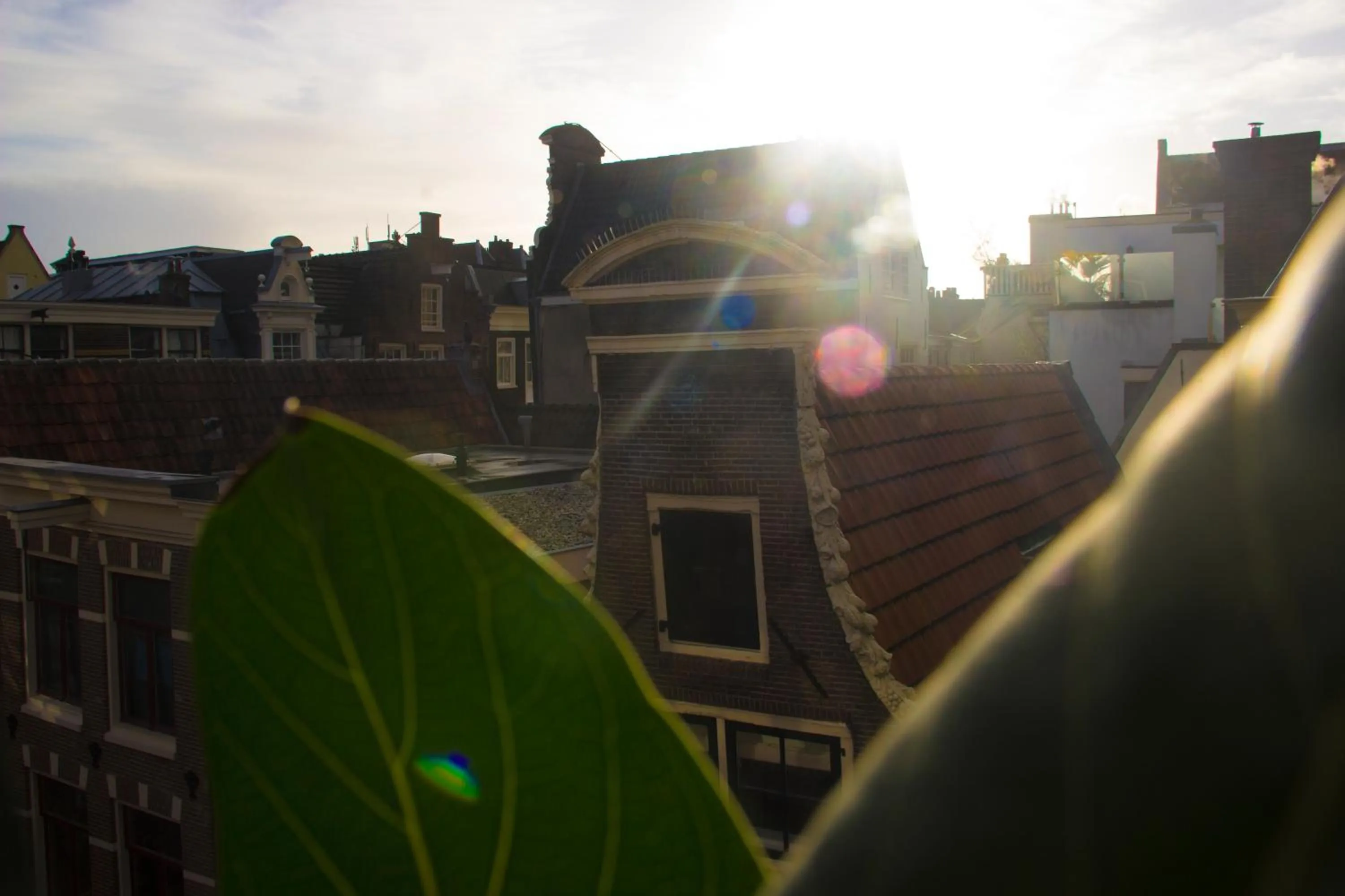 City view in Attic Monkeys Lodge