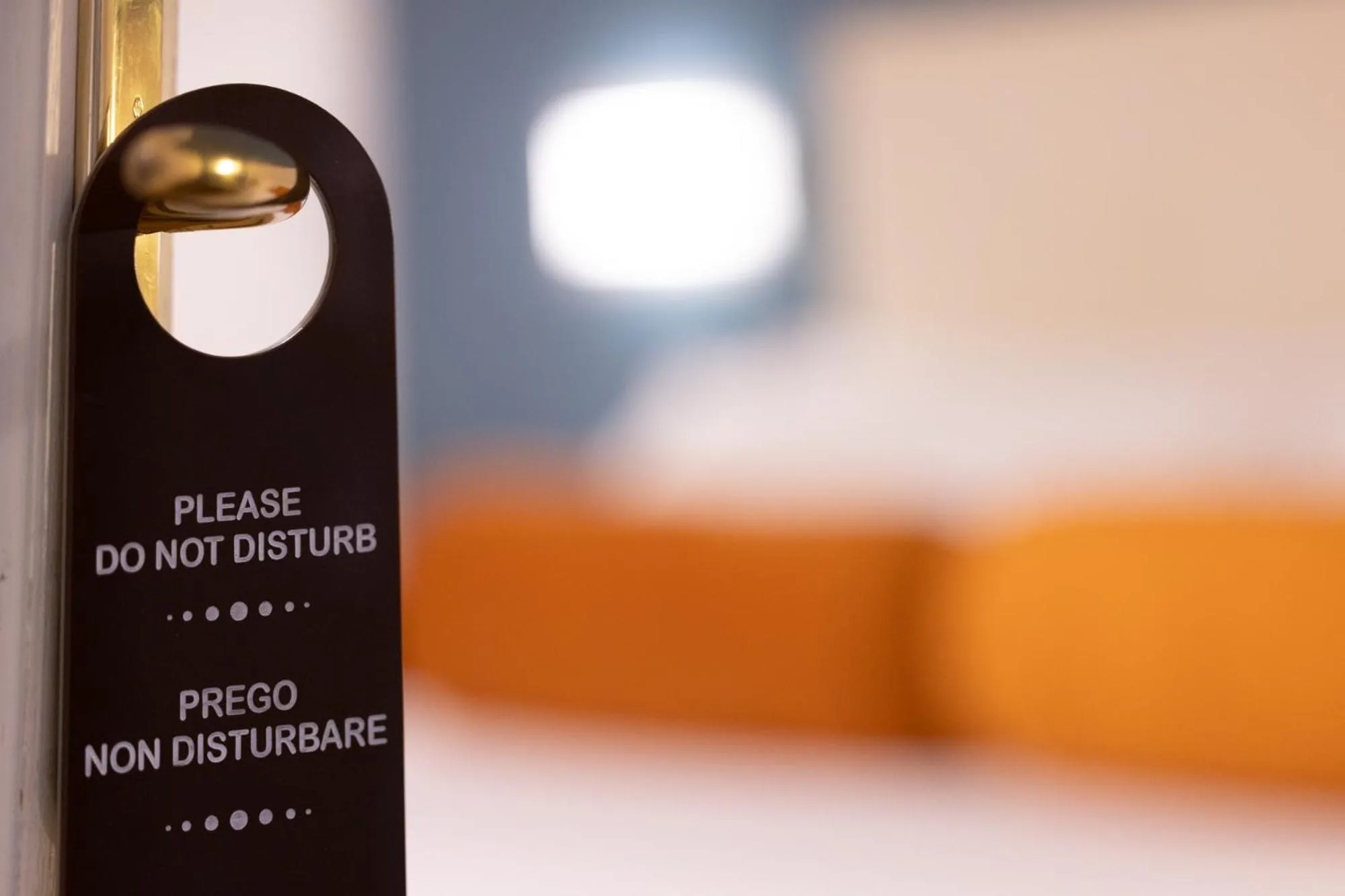 Text overlay, Bed in Zaccardi Roof Garden