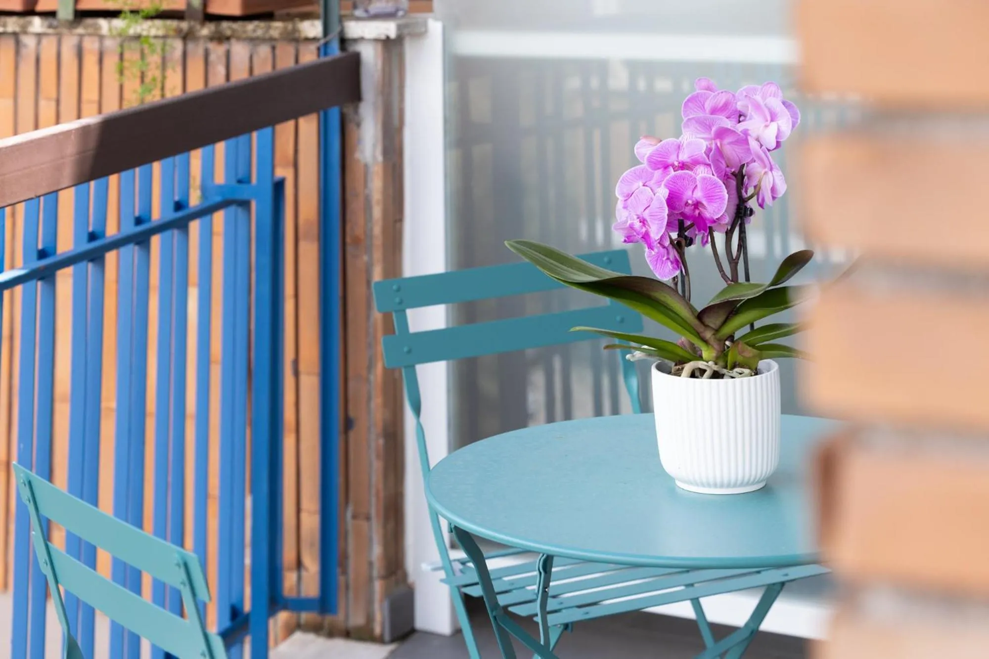 Day in Zaccardi Roof Garden