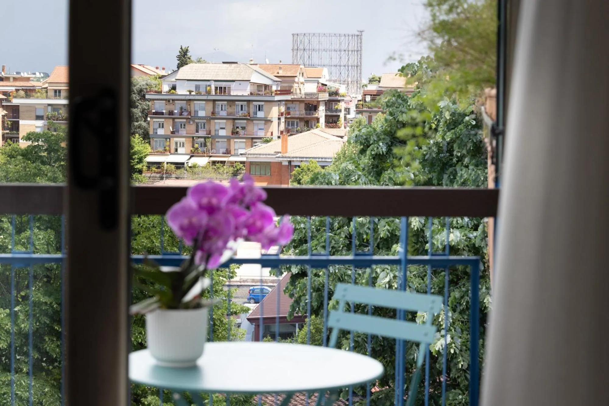 Balcony/Terrace in Zaccardi Roof Garden
