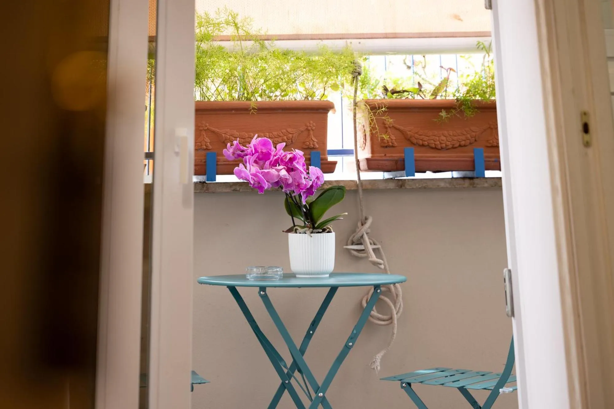 Balcony/Terrace in Zaccardi Roof Garden