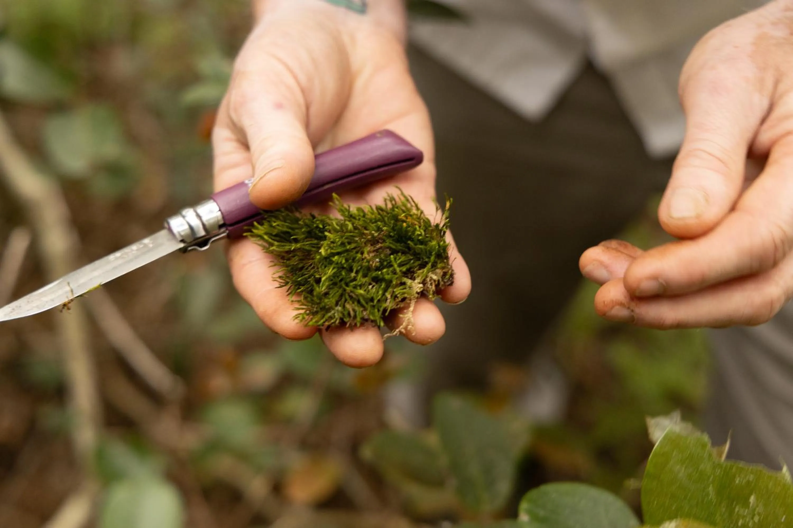 Restaurant/places to eat in Queen Victoria Hotel by NEWMARK