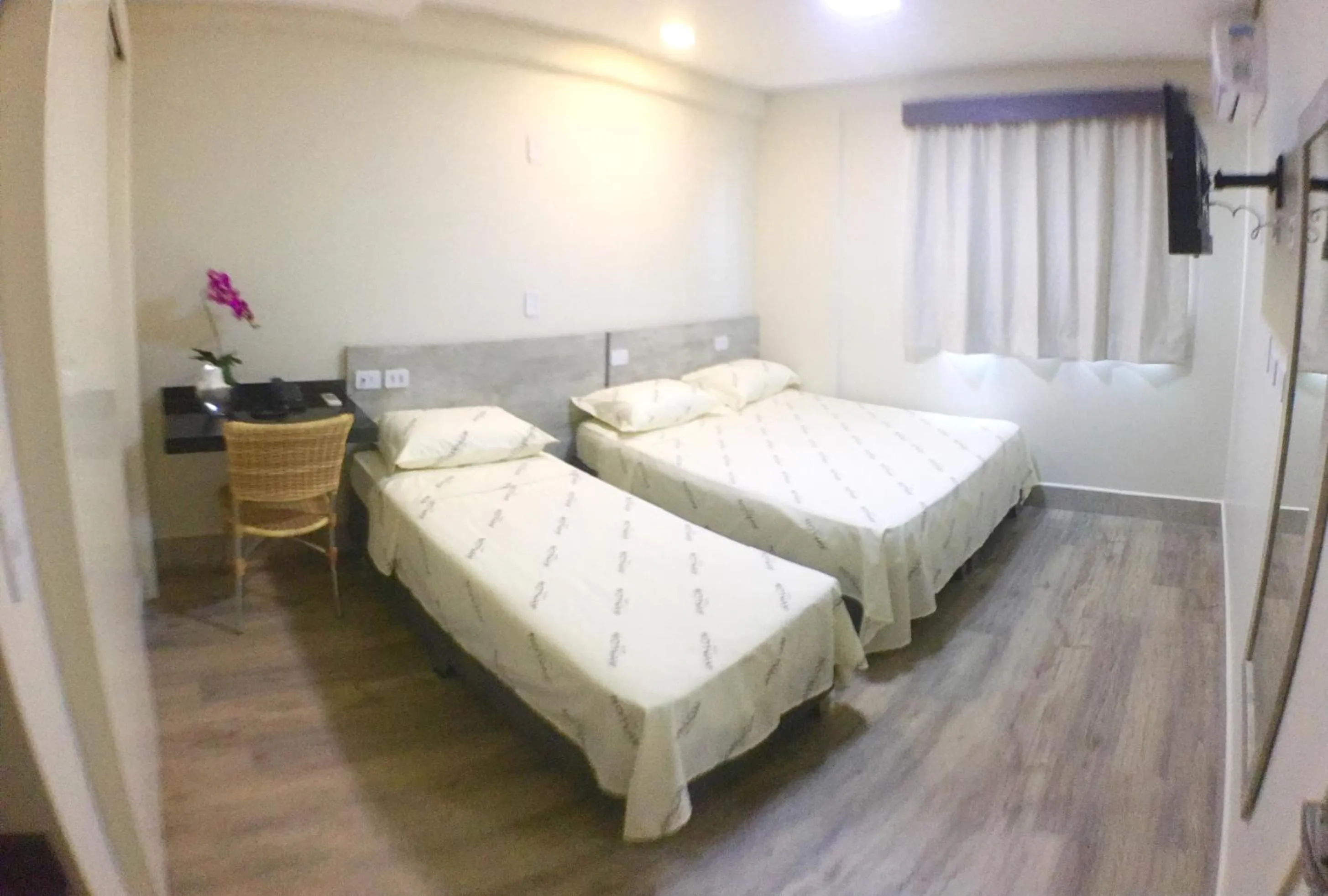 Other, Bed in Hotel Avalon Maringá Econômico