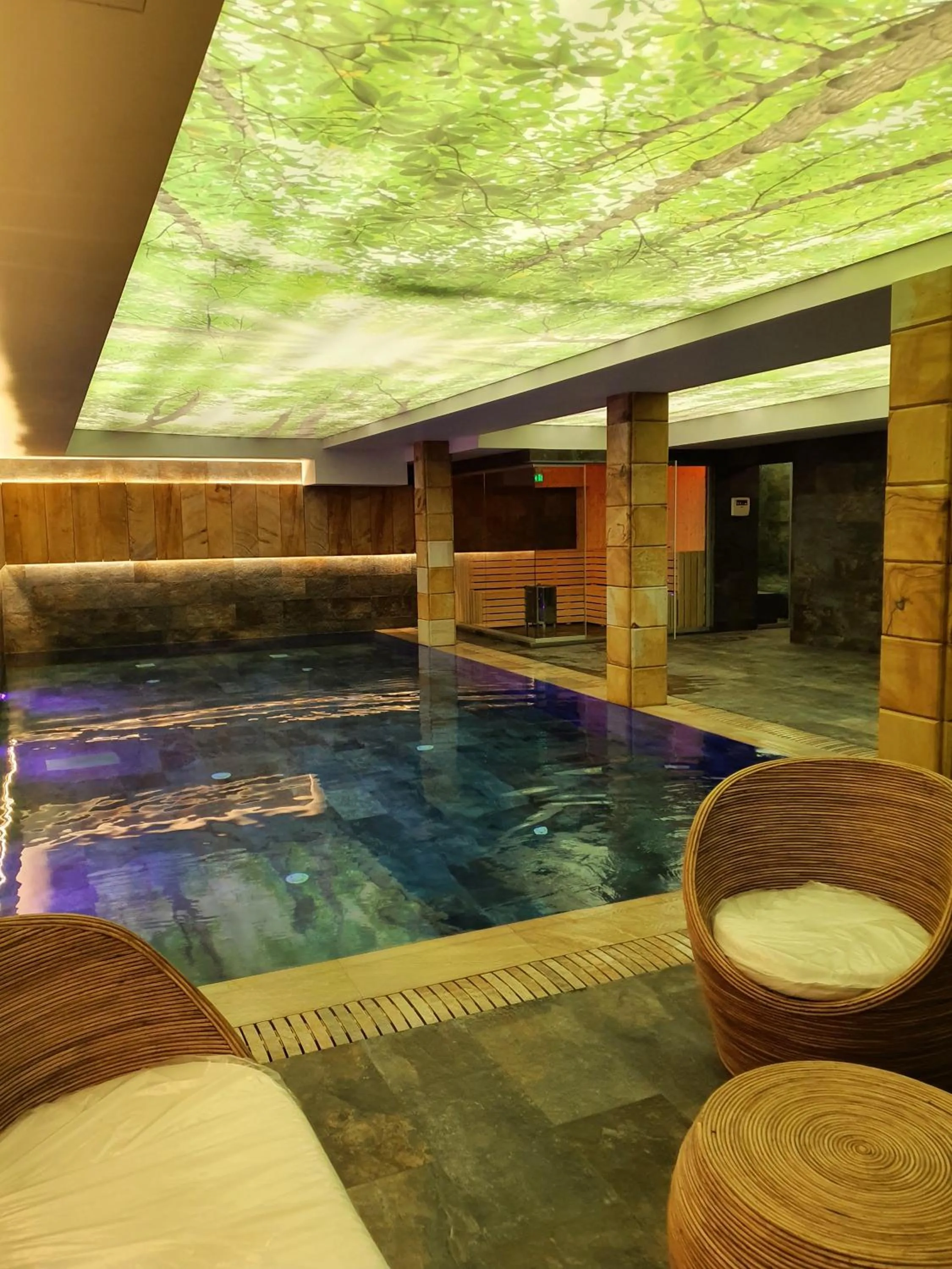 Spa and wellness centre/facilities in Lostrita - Pastravarie, Hotel & SPA