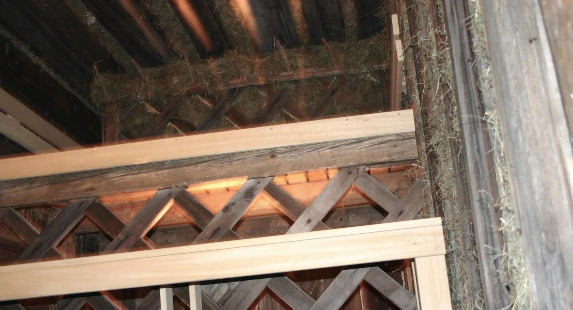 Other in MONTAFONLodge