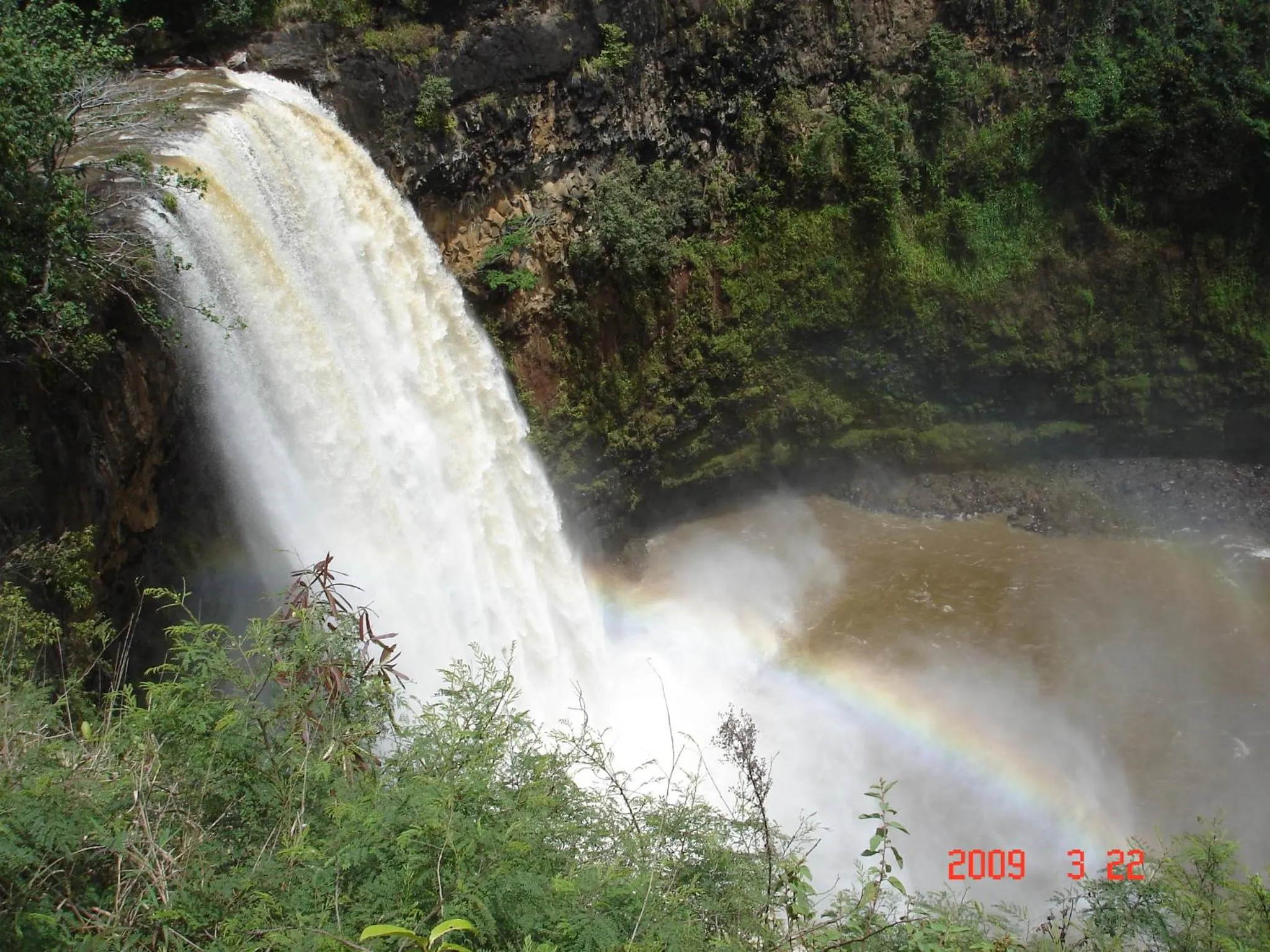 Natural landscape in Islander on the Beach Unit 244