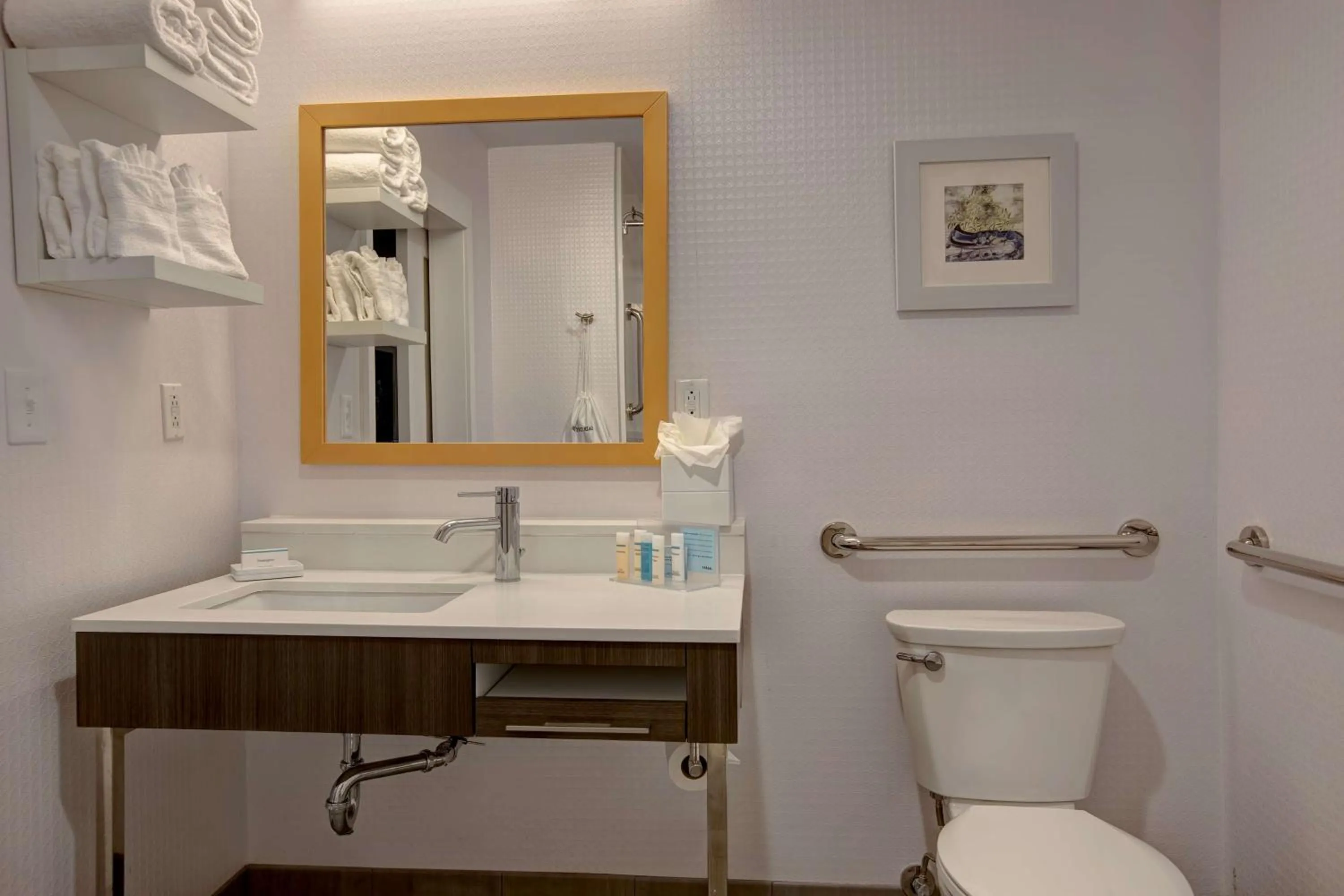 Bathroom in Hampton Inn Olive Branch