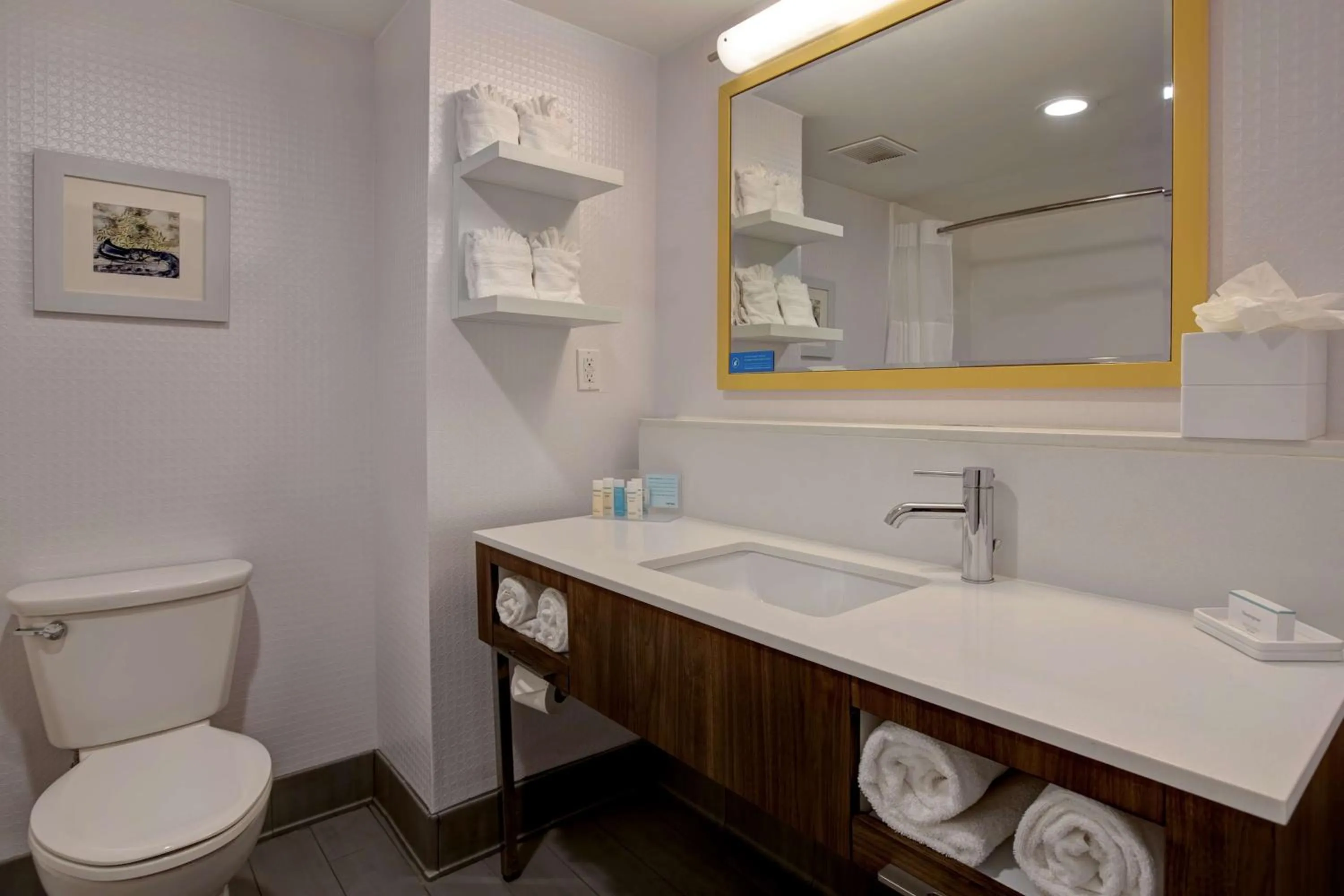 Bathroom in Hampton Inn Olive Branch