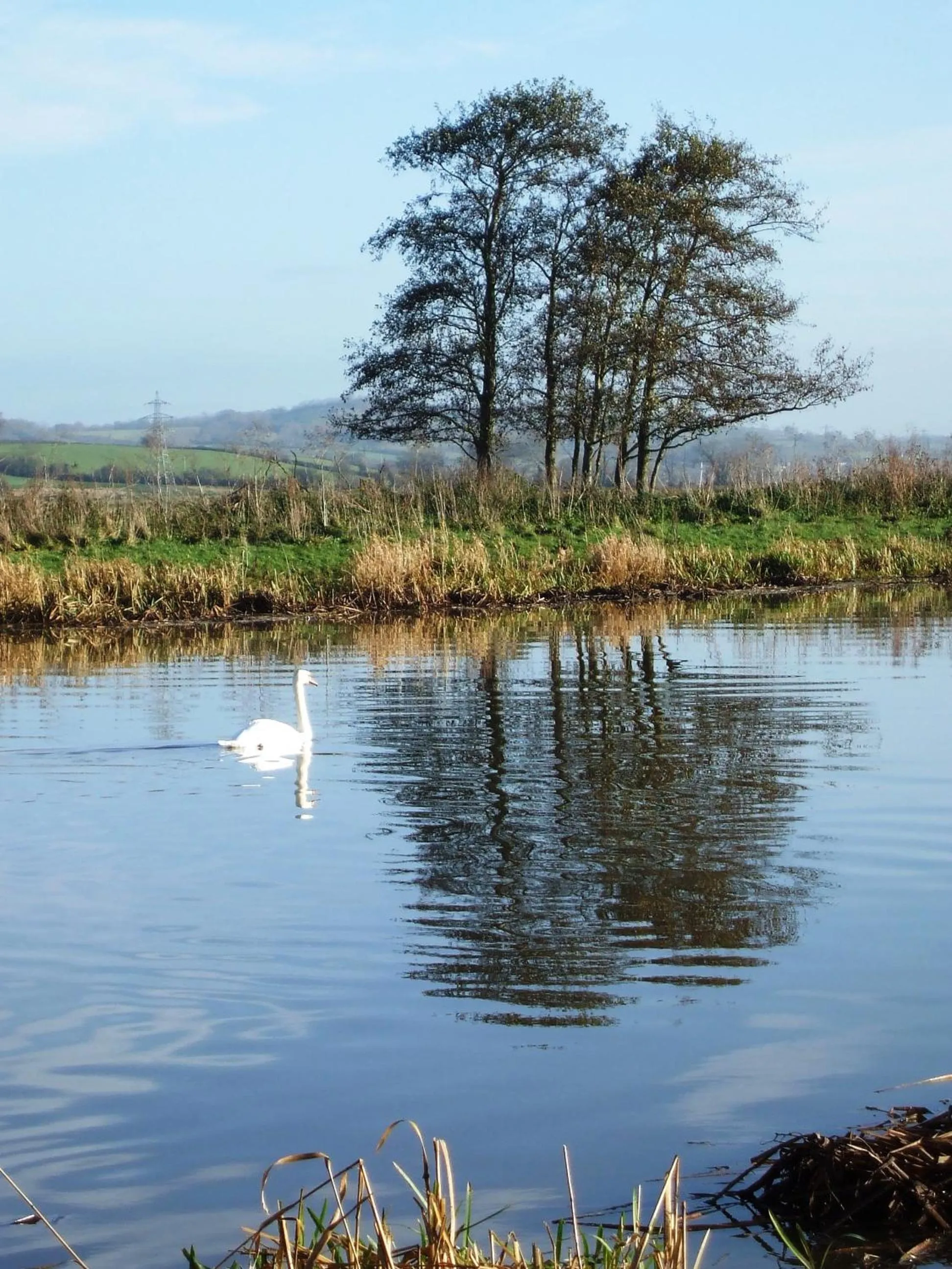 Fishing in The Bower Inn