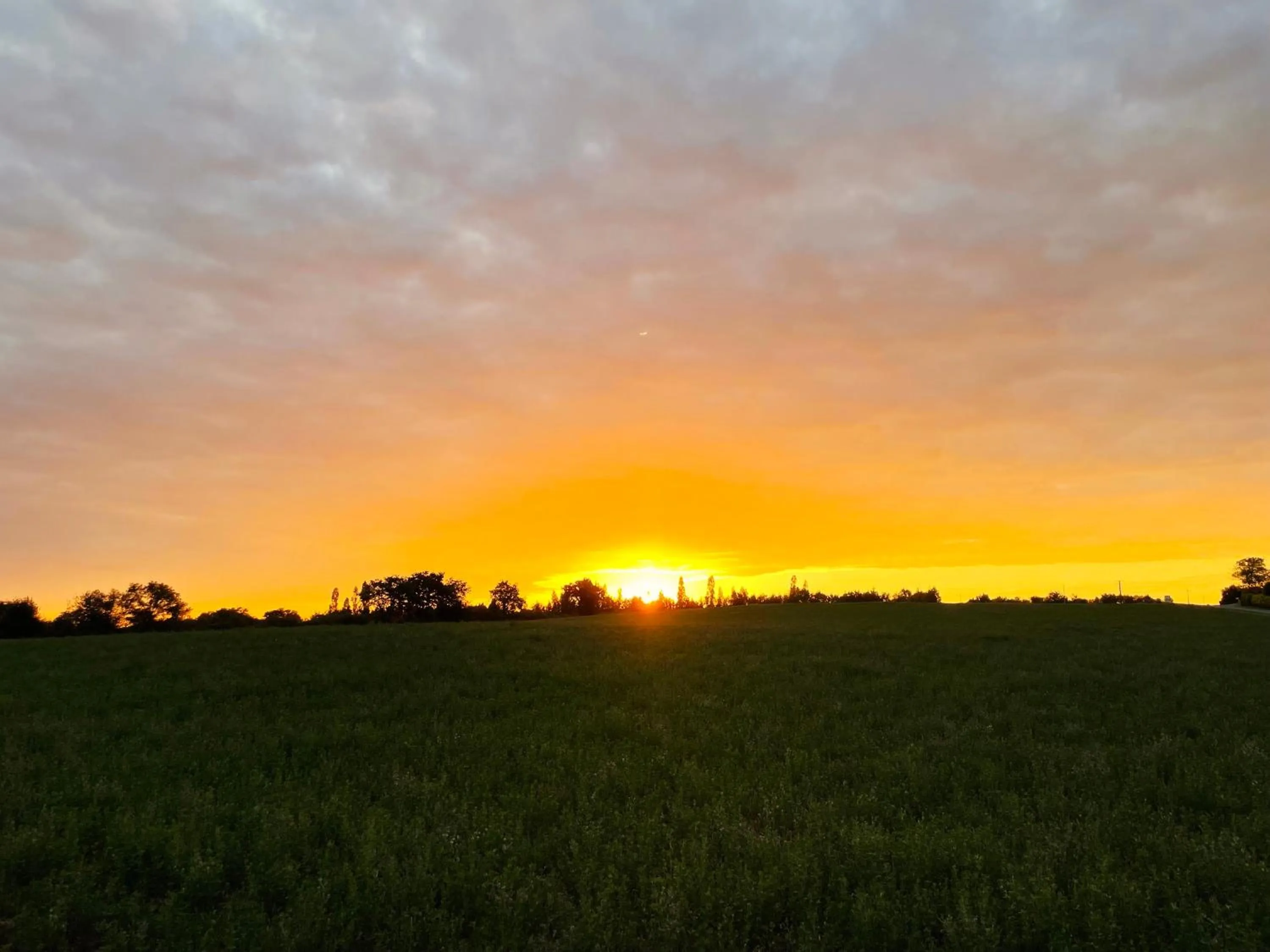 Natural landscape in "La Petite Félixière" à 25 min du Puy du Foù, 10 min de Cholet, et 35 min de Nantes