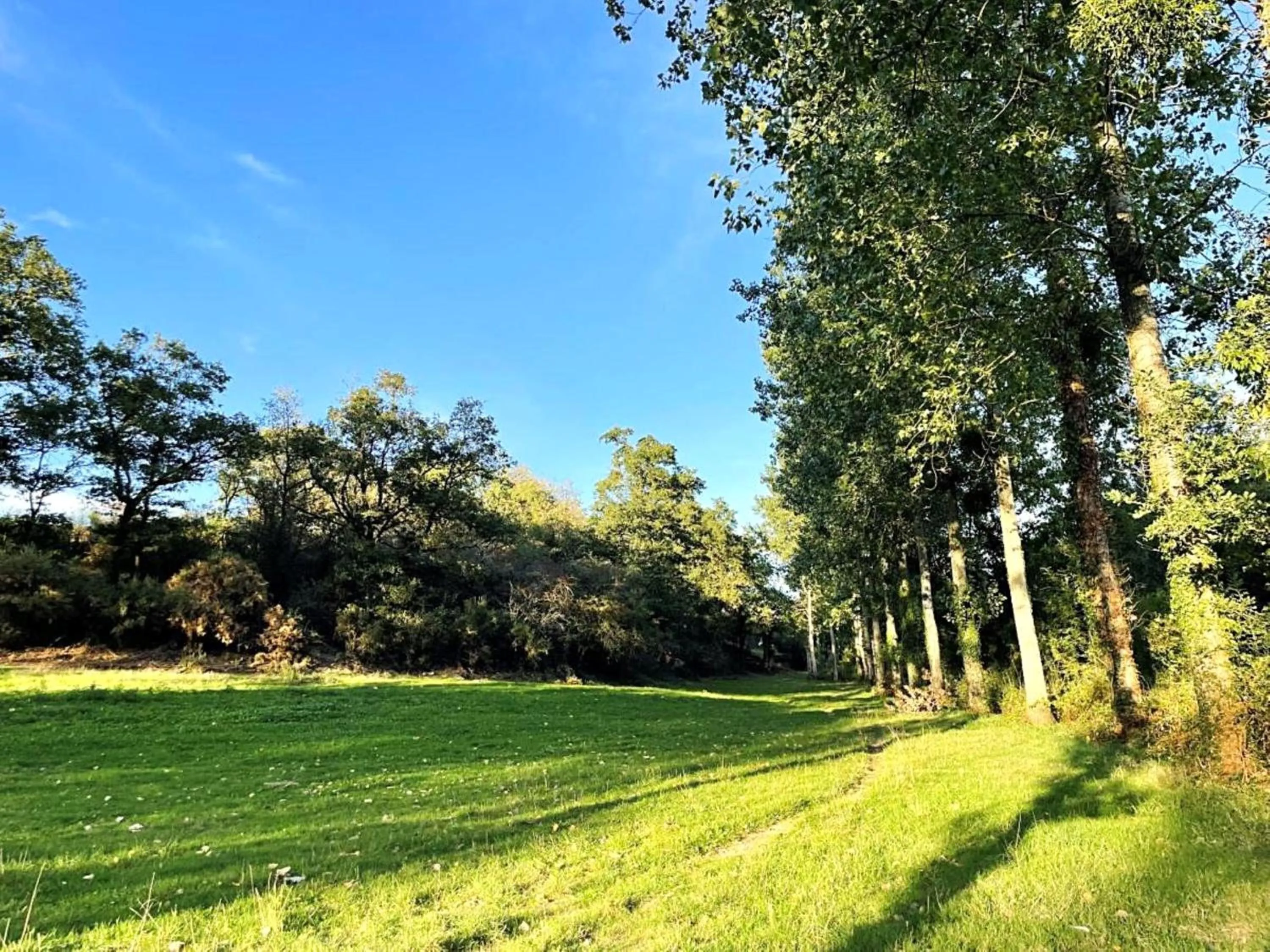 Natural landscape in "La Petite Félixière" à 25 min du Puy du Foù, 10 min de Cholet, et 35 min de Nantes