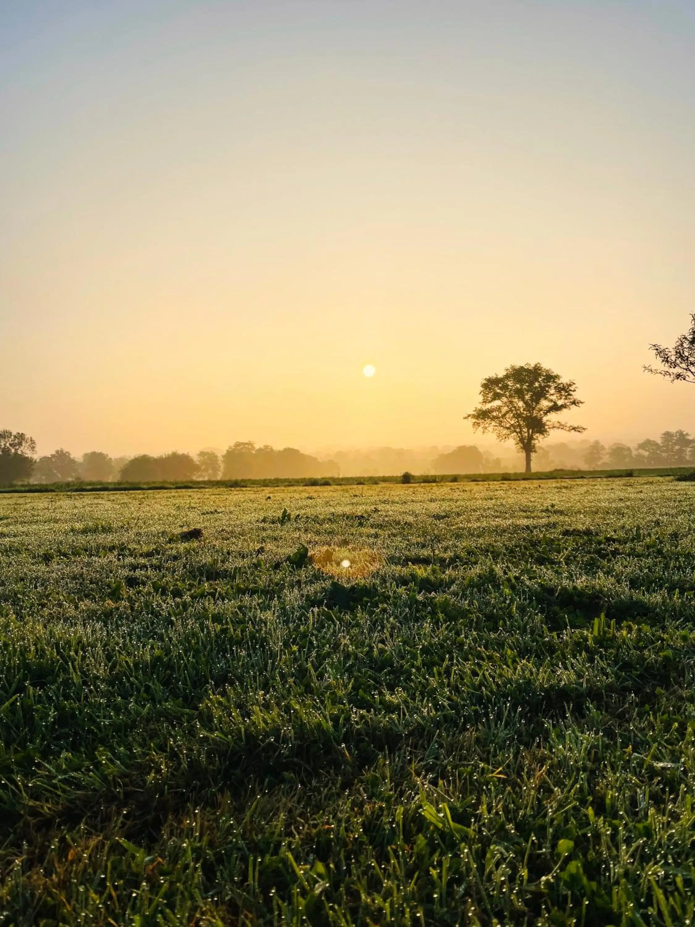 Natural landscape in "La Petite Félixière" à 25 min du Puy du Foù, 10 min de Cholet, et 35 min de Nantes
