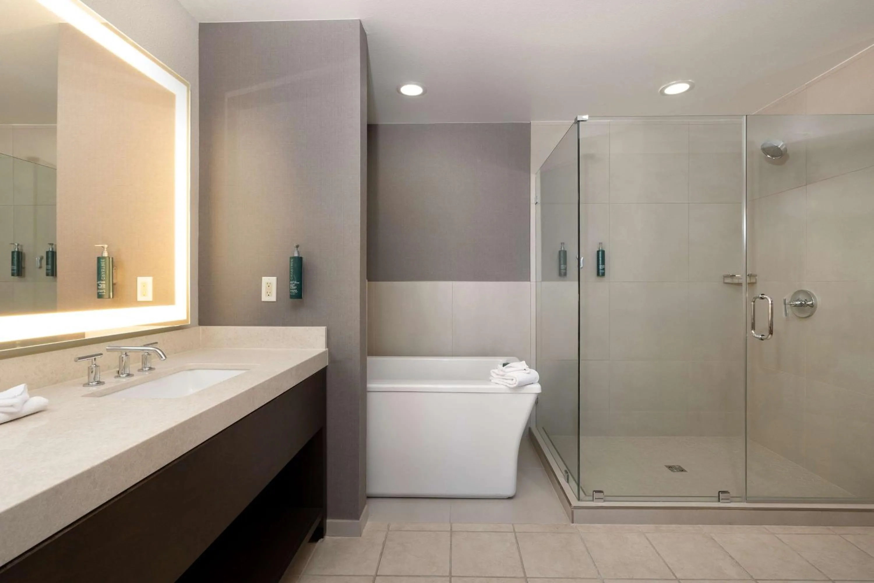 Bathroom in Hilton Promenade Branson Landing