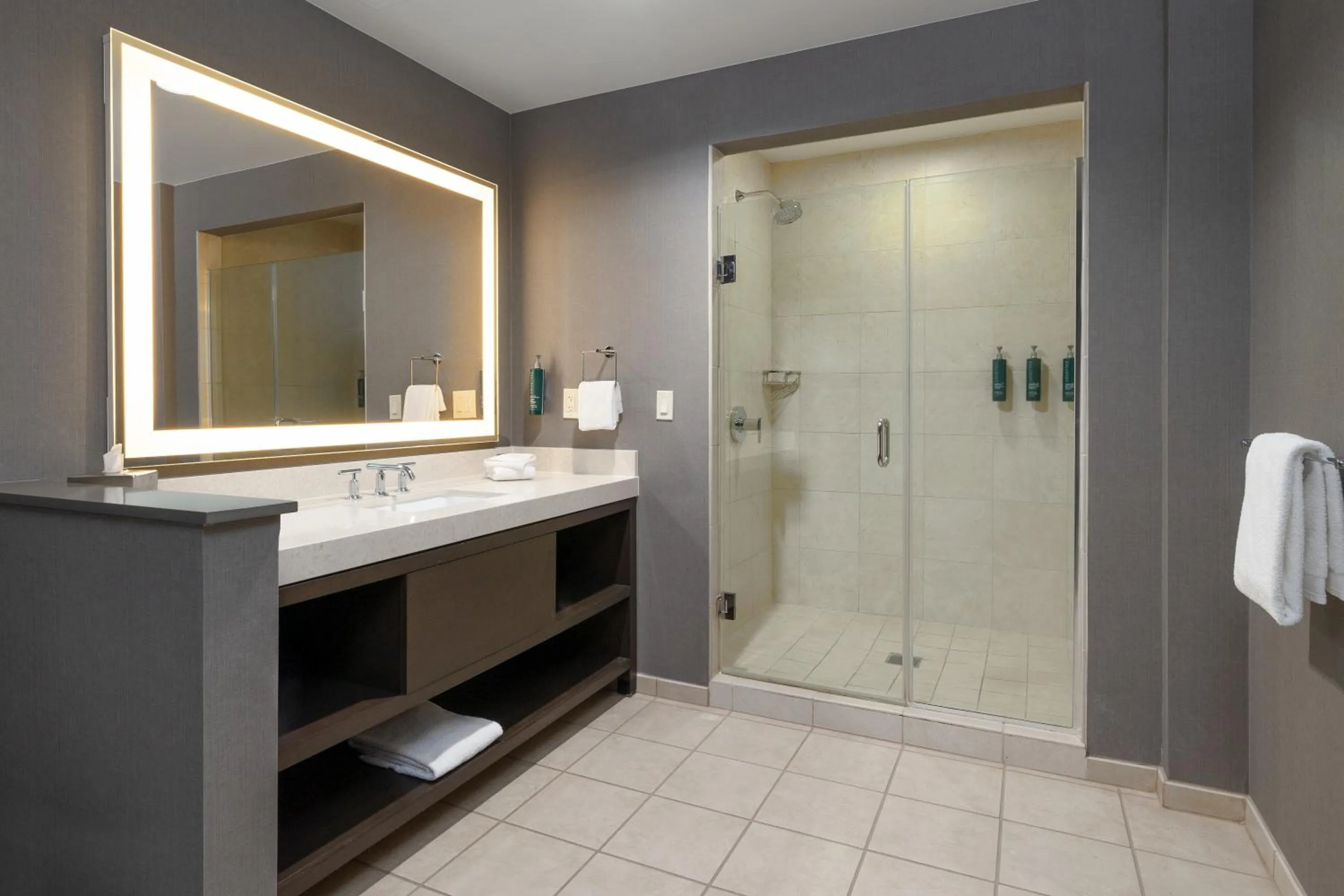 Bathroom in Hilton Promenade Branson Landing