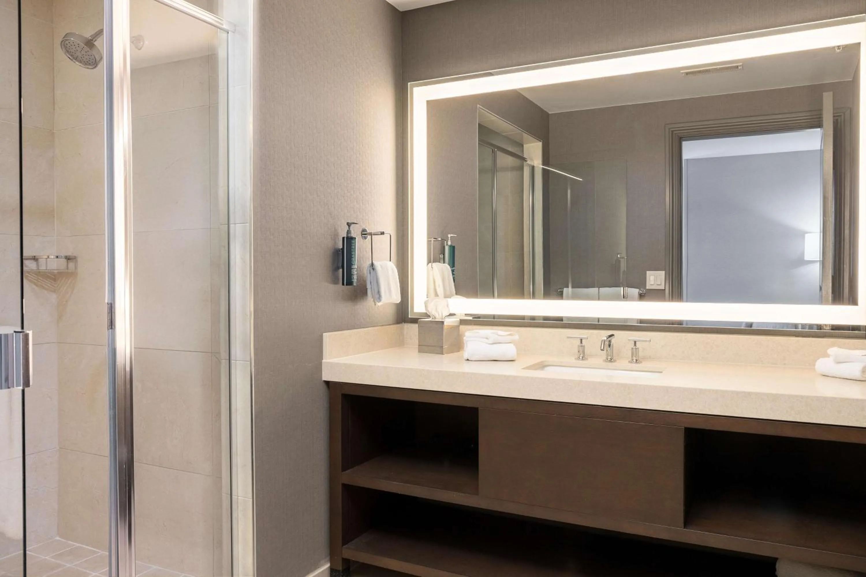 Bathroom in Hilton Promenade Branson Landing