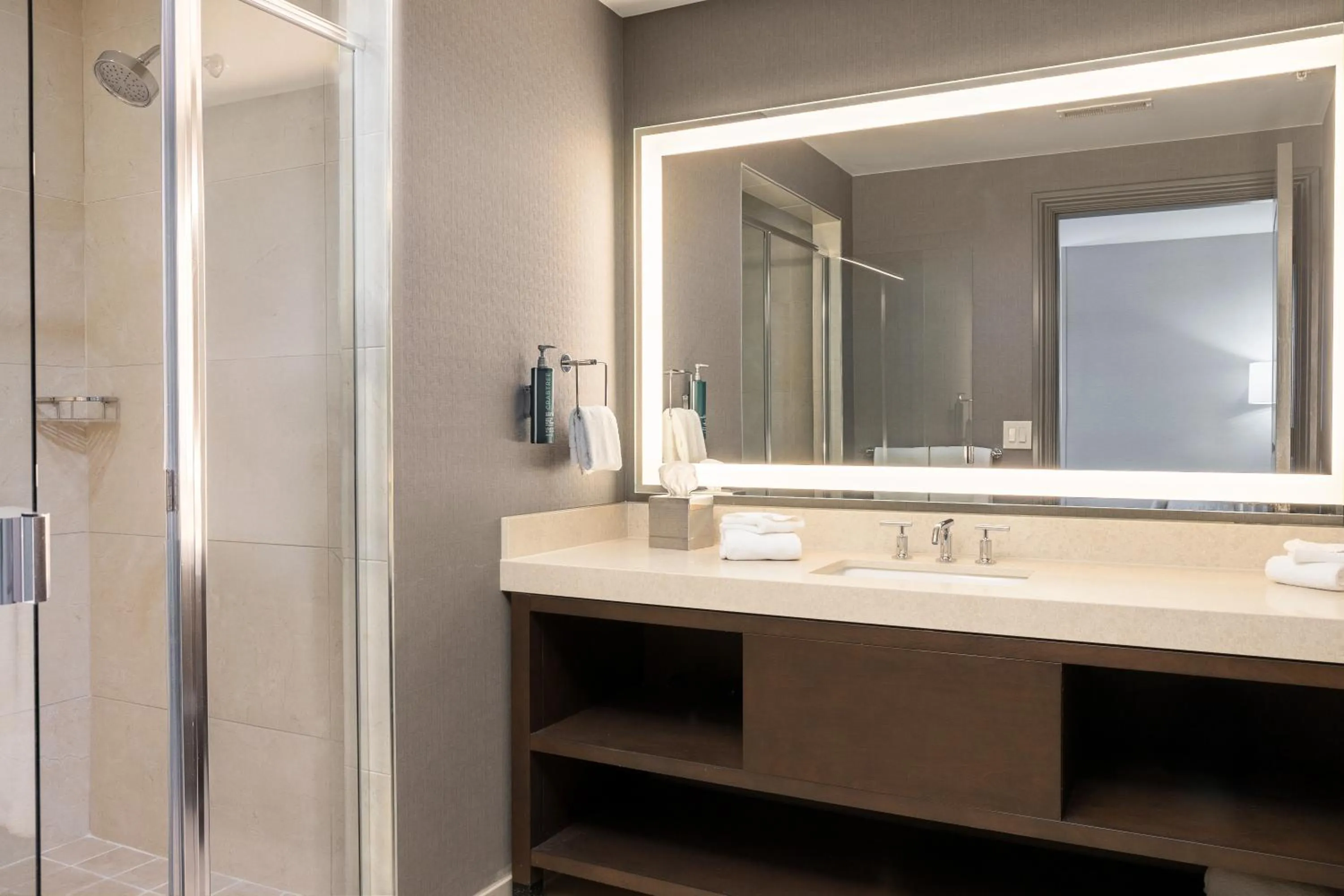 Bathroom in Hilton Promenade Branson Landing