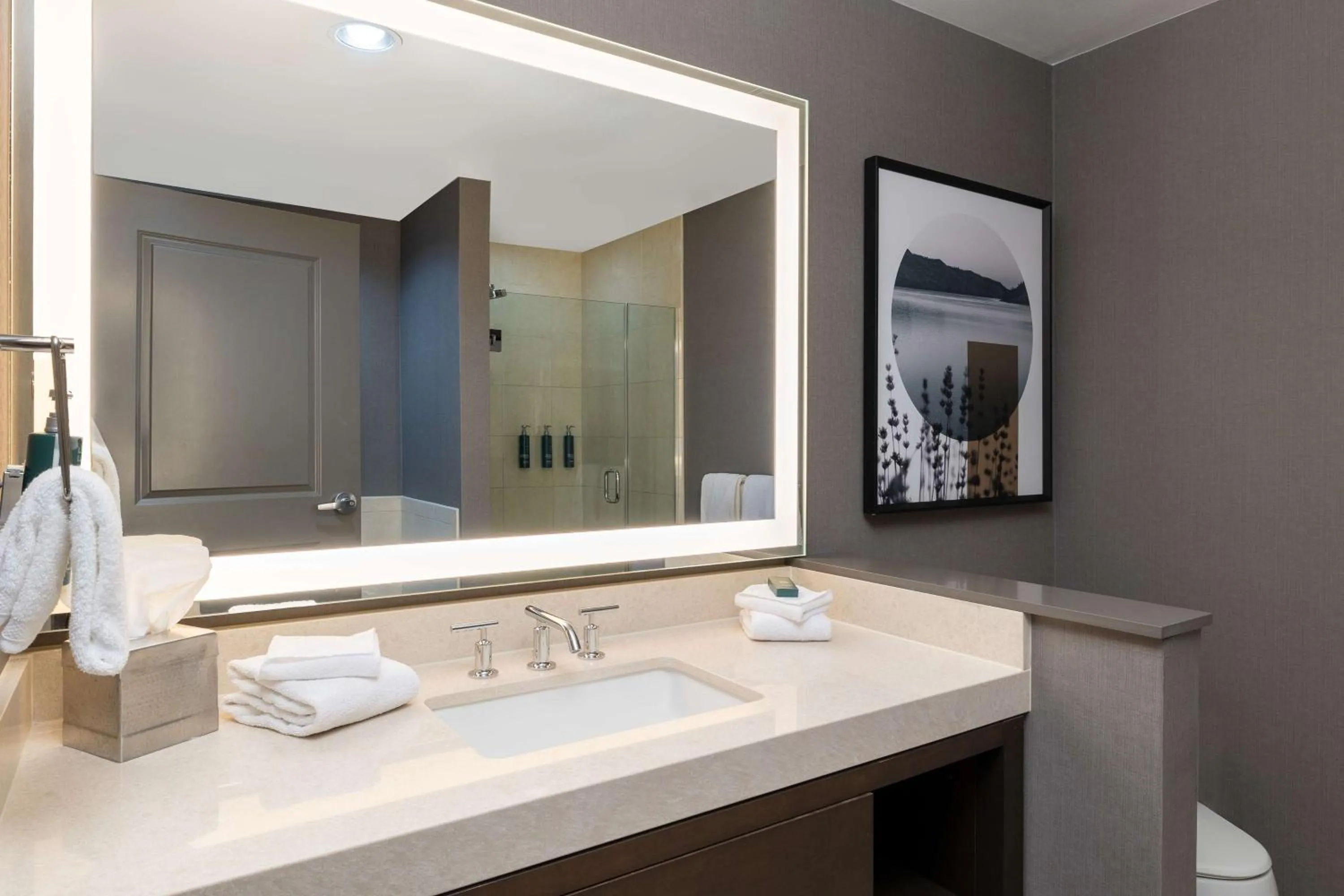 Bathroom in Hilton Promenade Branson Landing