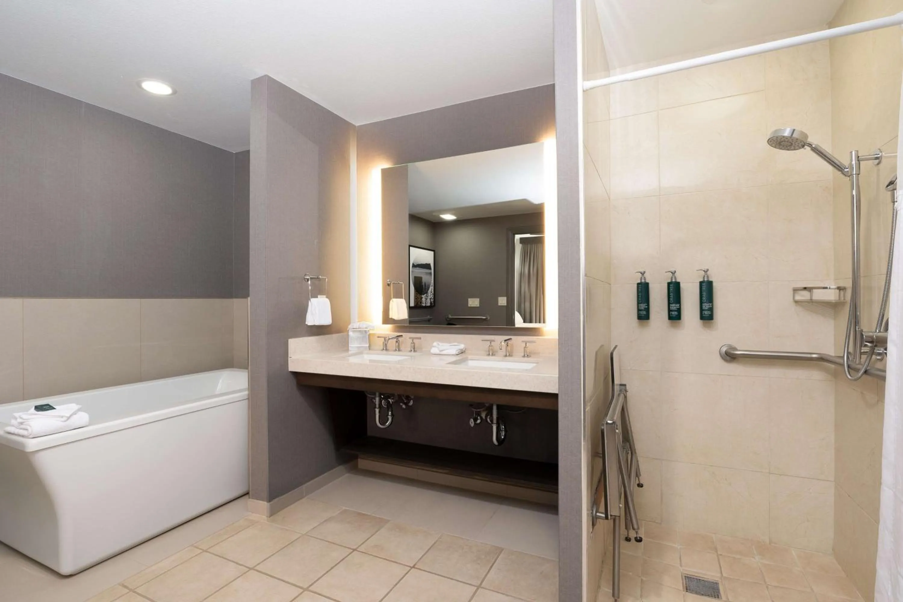 Bathroom in Hilton Promenade Branson Landing