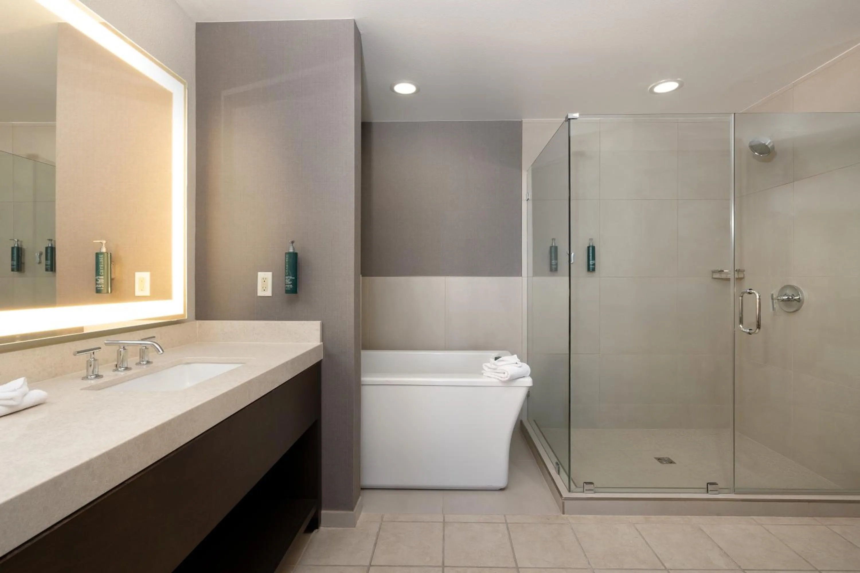 Bathroom in Hilton Promenade Branson Landing