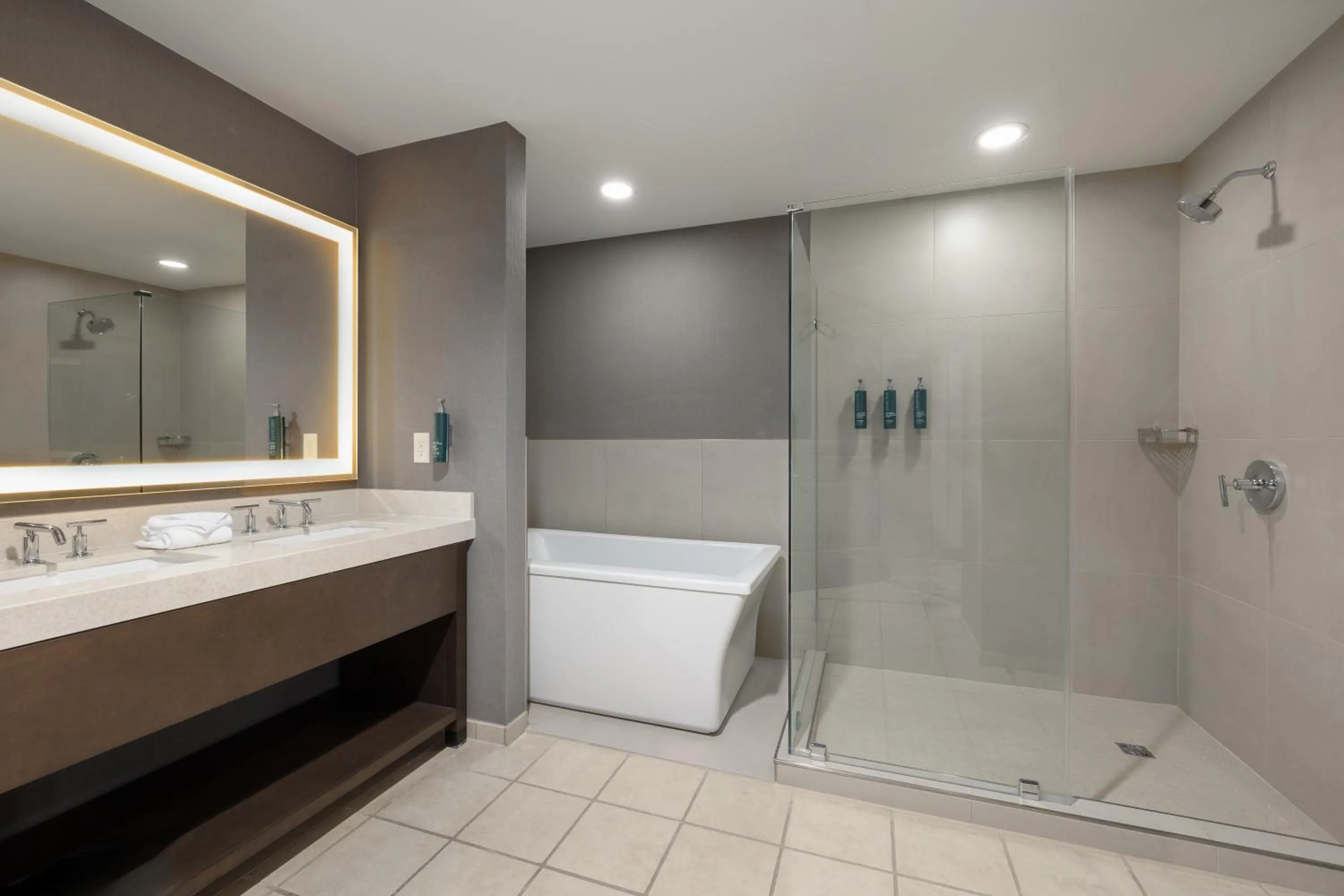 Bathroom in Hilton Promenade Branson Landing