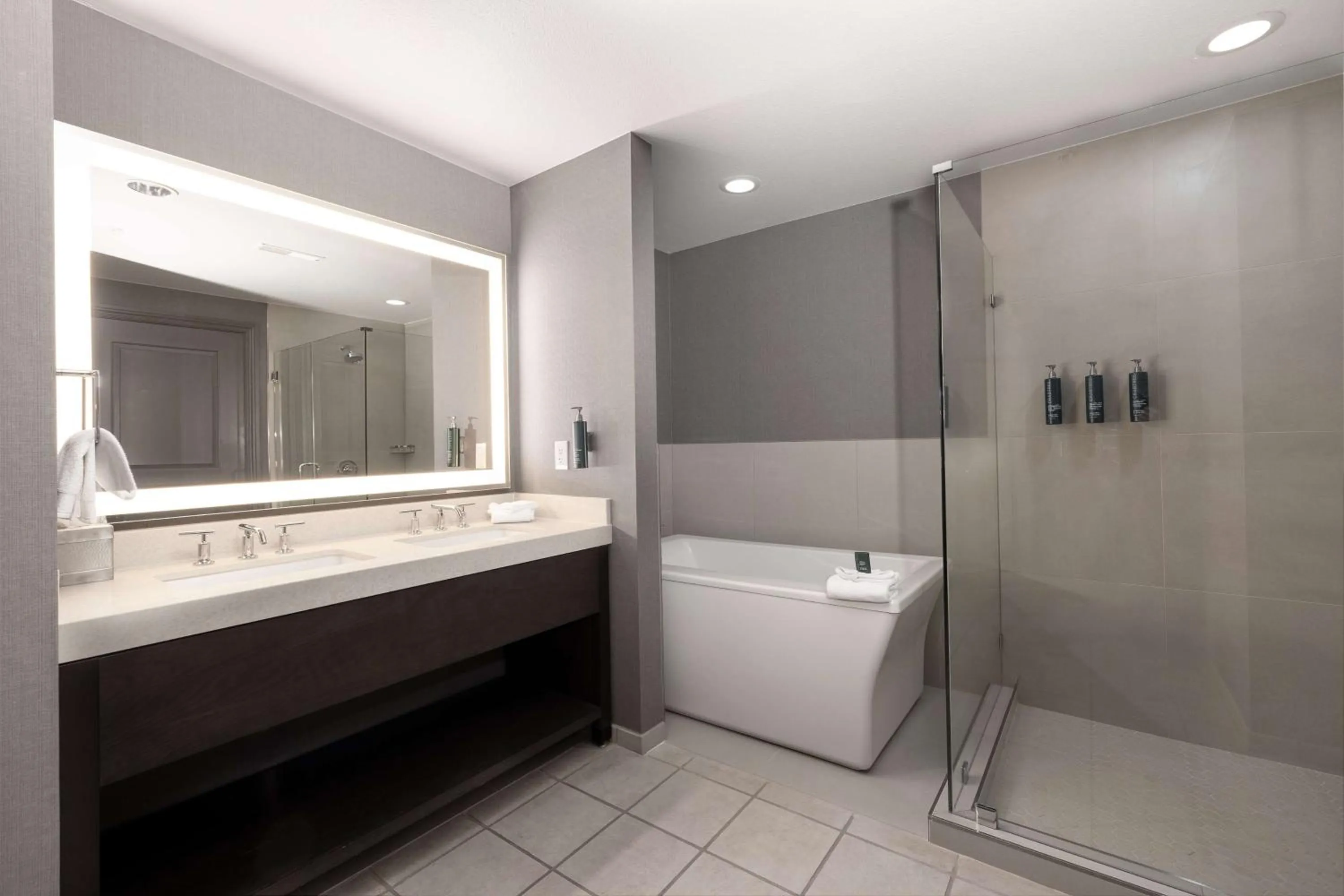 Bathroom in Hilton Promenade Branson Landing