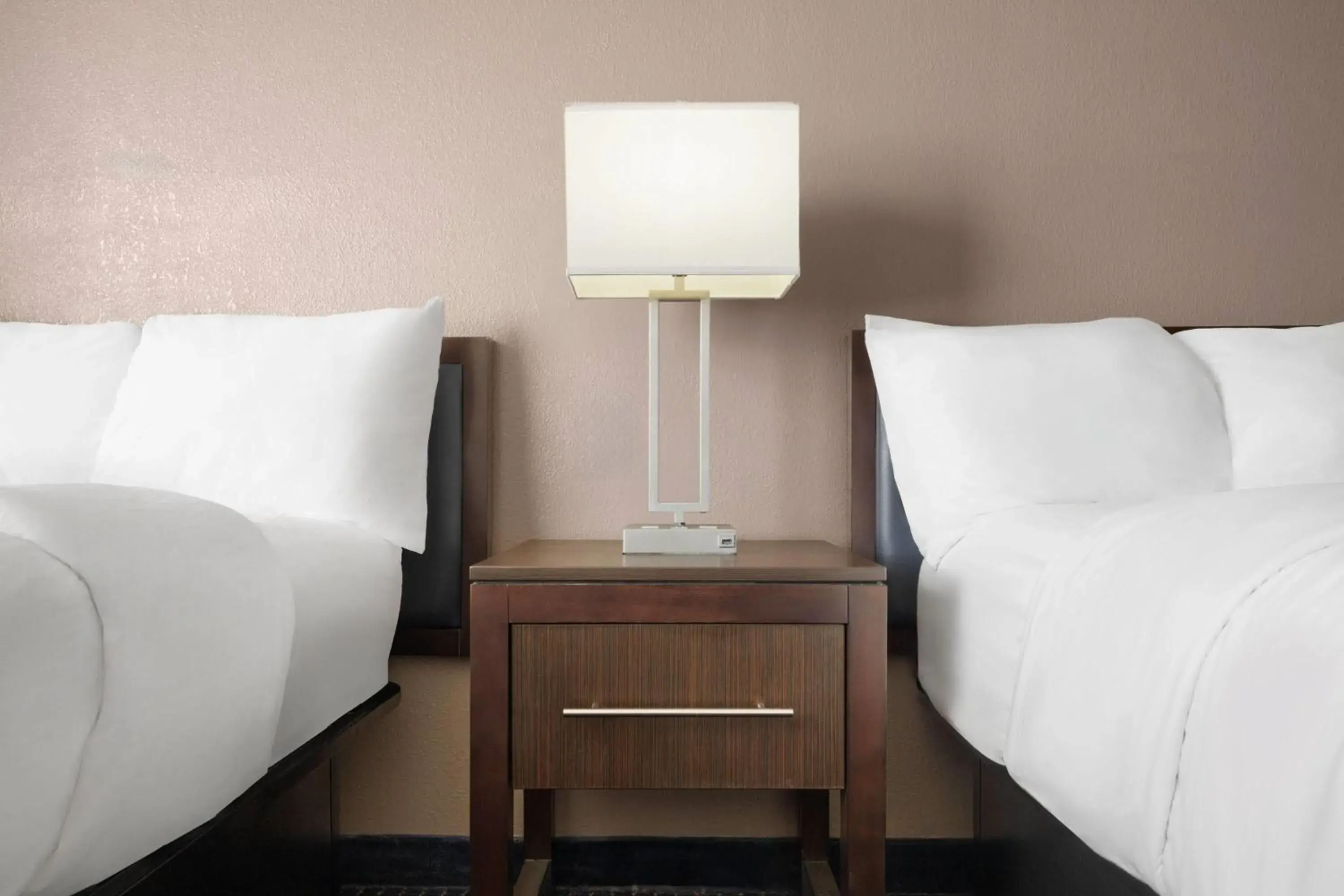 Deluxe Double Room - Disability Access/Non-Smoking in Wingate by Wyndham Augusta Fort Eisenhower Deluxe Double Room - Disability Access/Non-Smoking in Wingate by Wyndham Augusta Fort Eisenhower