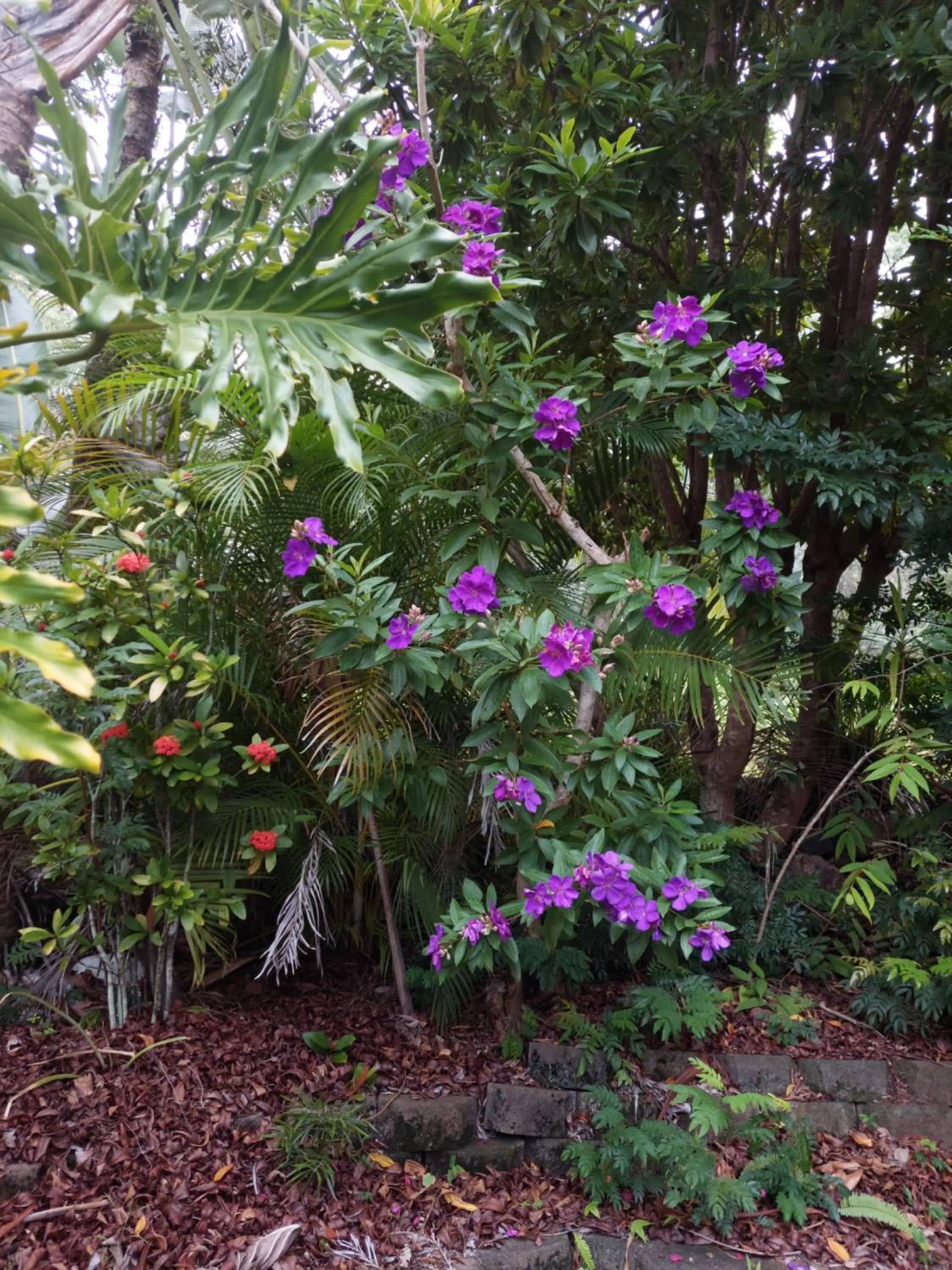 Riviera Bed & Breakfast