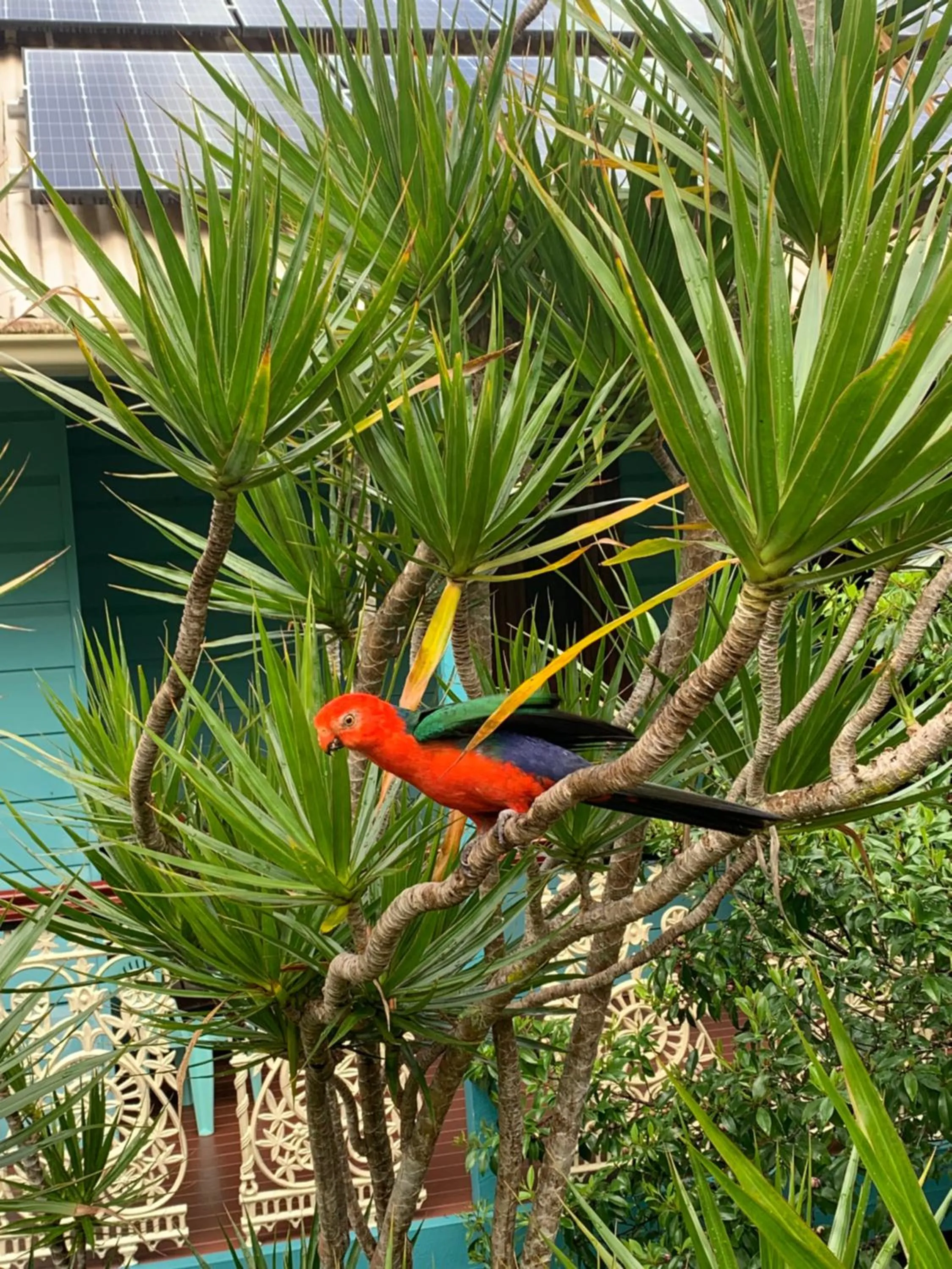 Riviera Bed & Breakfast