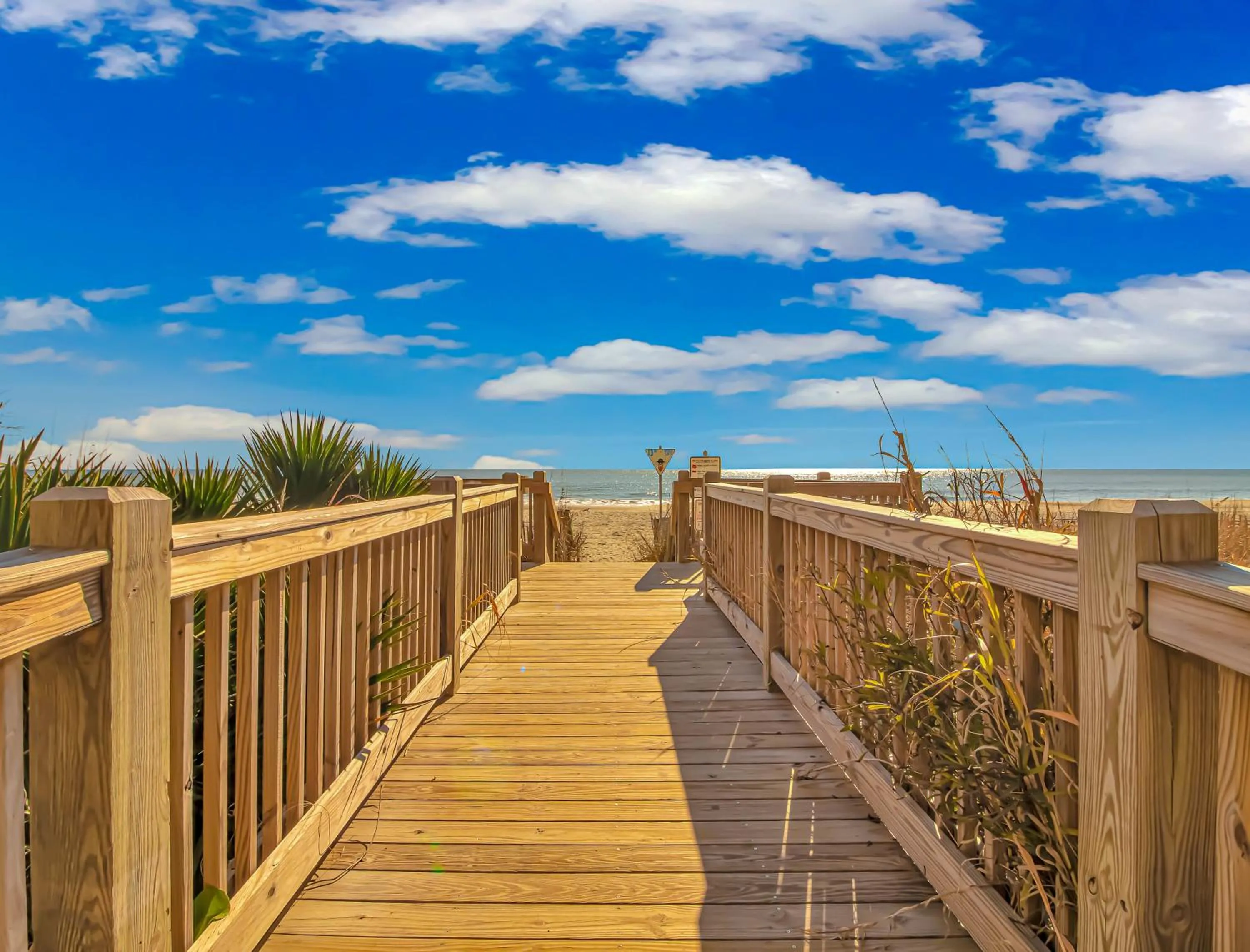 Beach in Sea Mist 51302