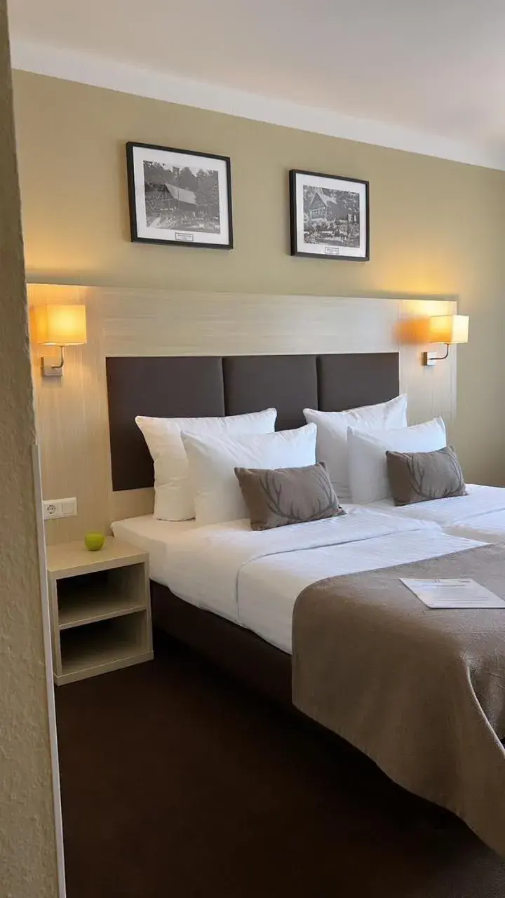 Double Room in Hotel-Restaurant Jagdhaus Heede Double Room in Hotel-Restaurant Jagdhaus Heede