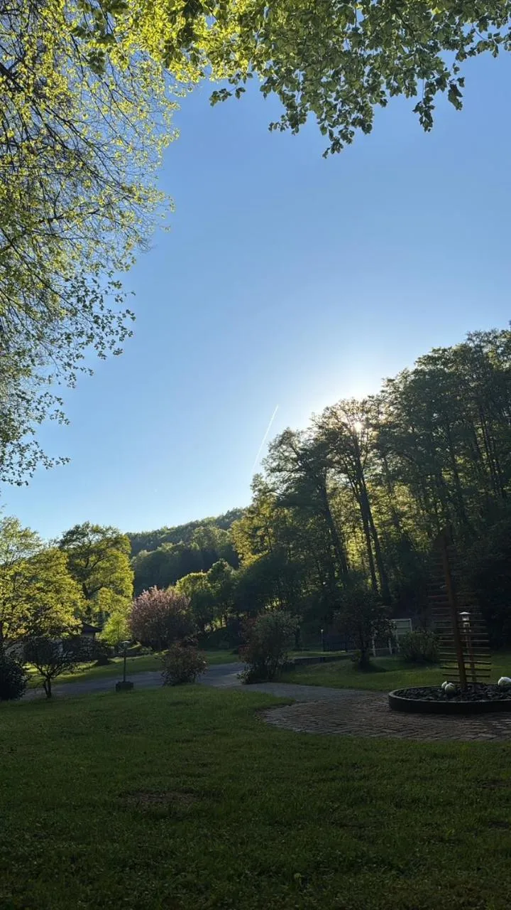 Garden view in Hotel-Restaurant Jagdhaus Heede