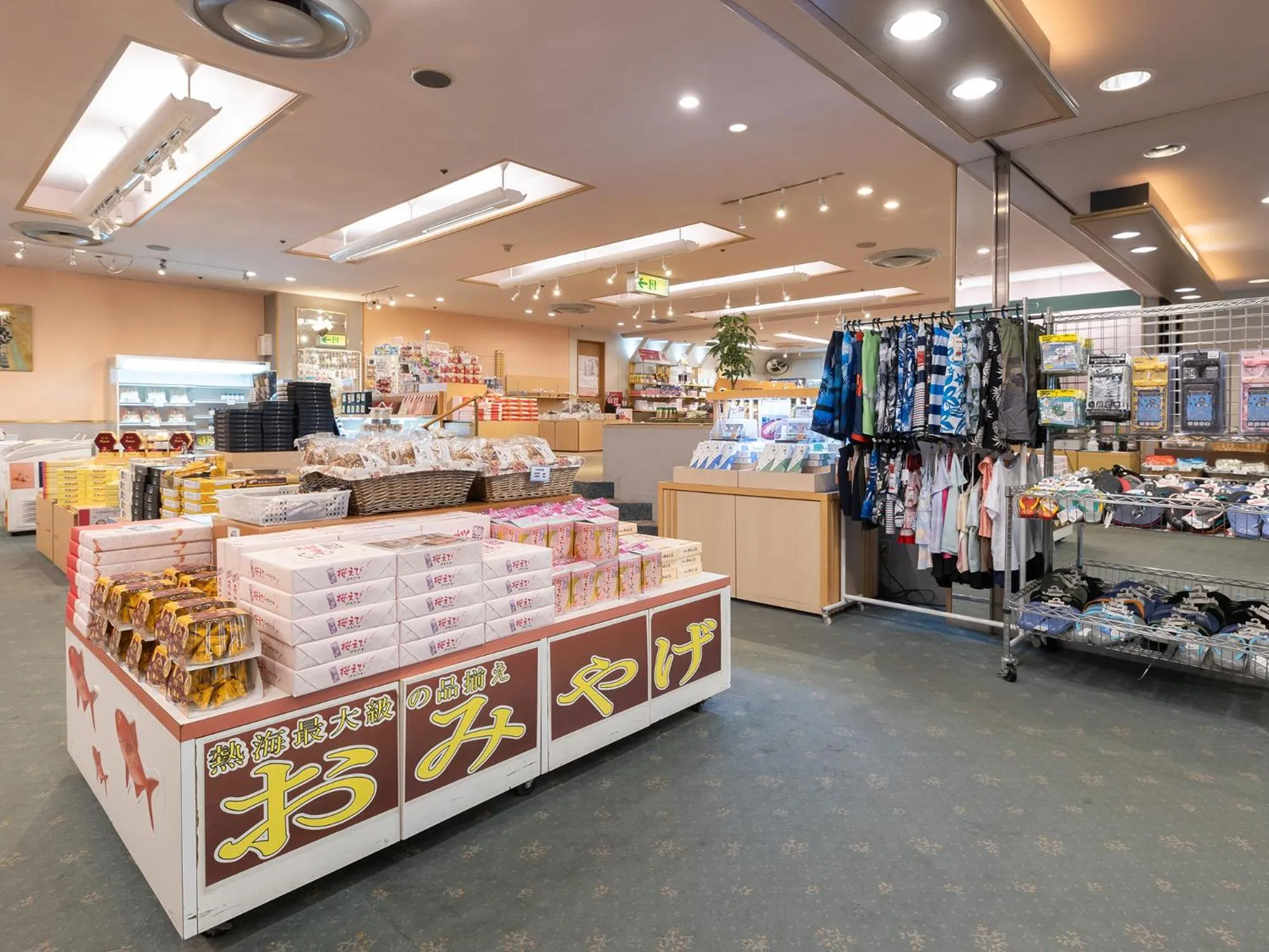 Atami New Fujiya Hotel