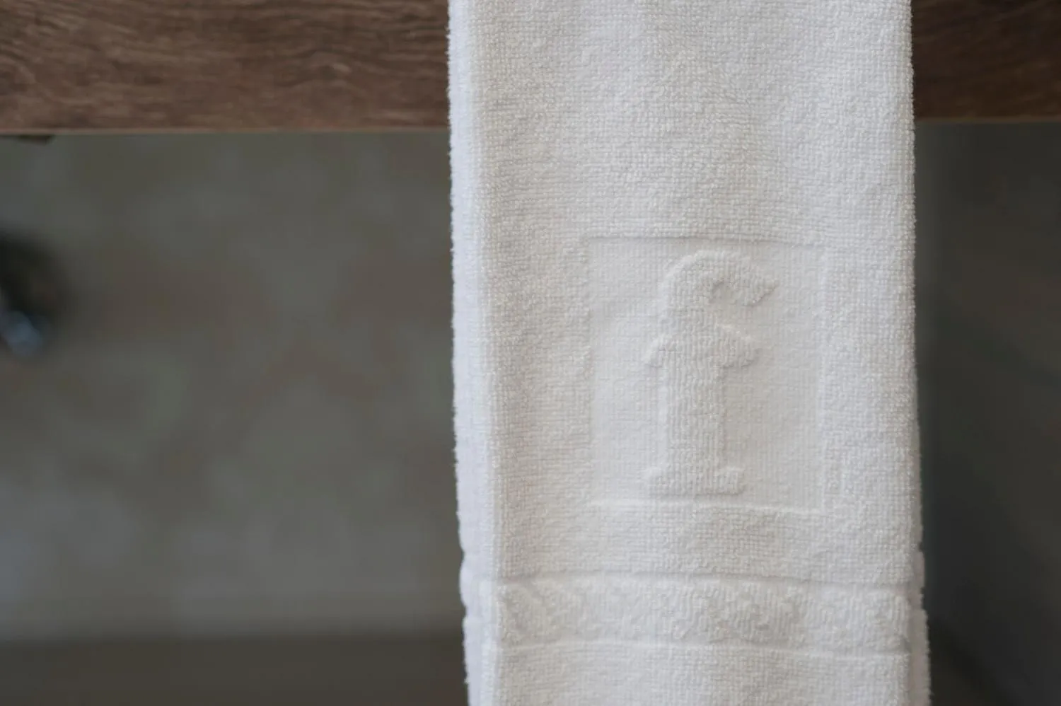 Property logo or sign in Hotel Terme Formentin