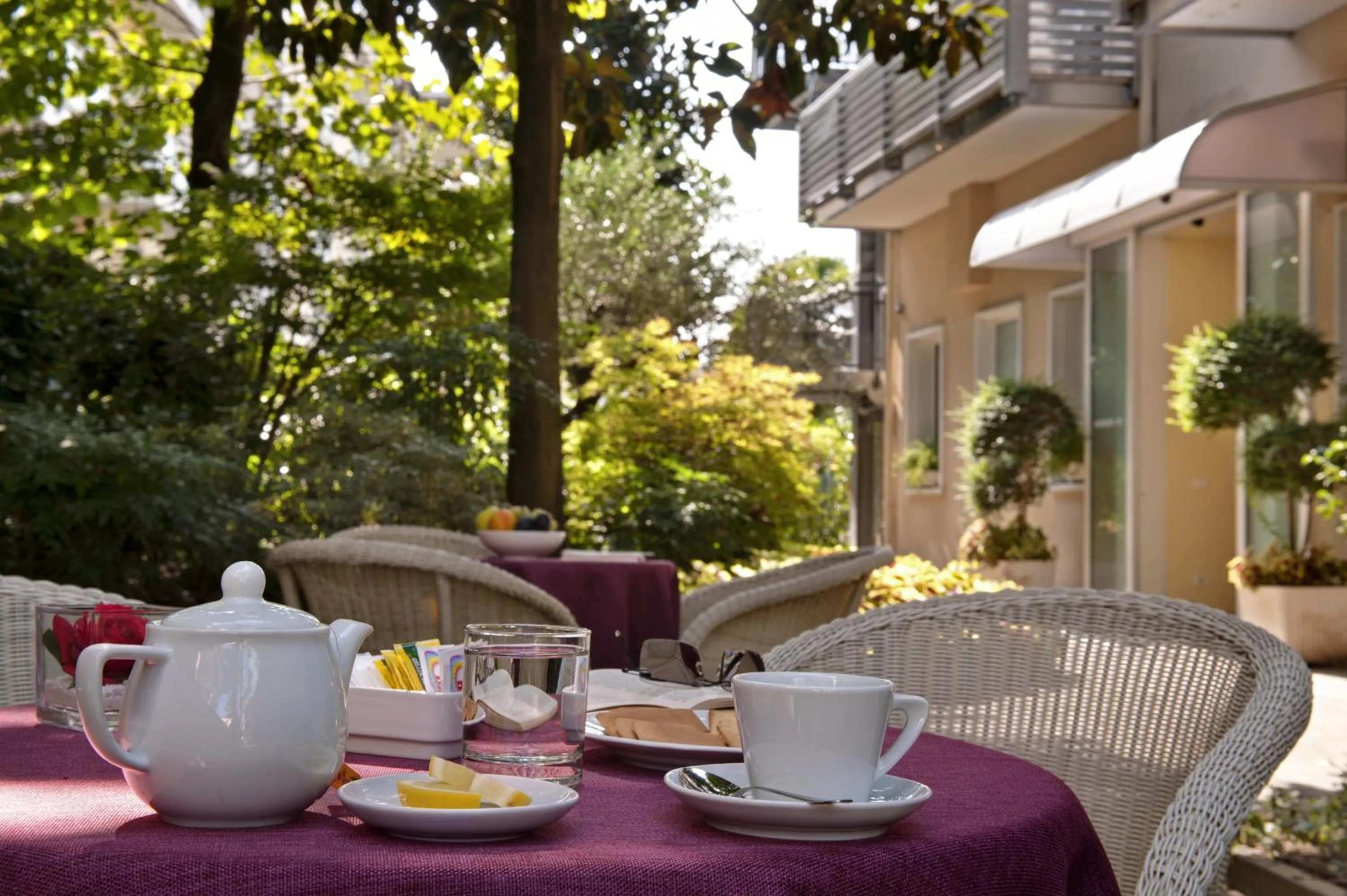 Garden in Hotel Terme Formentin