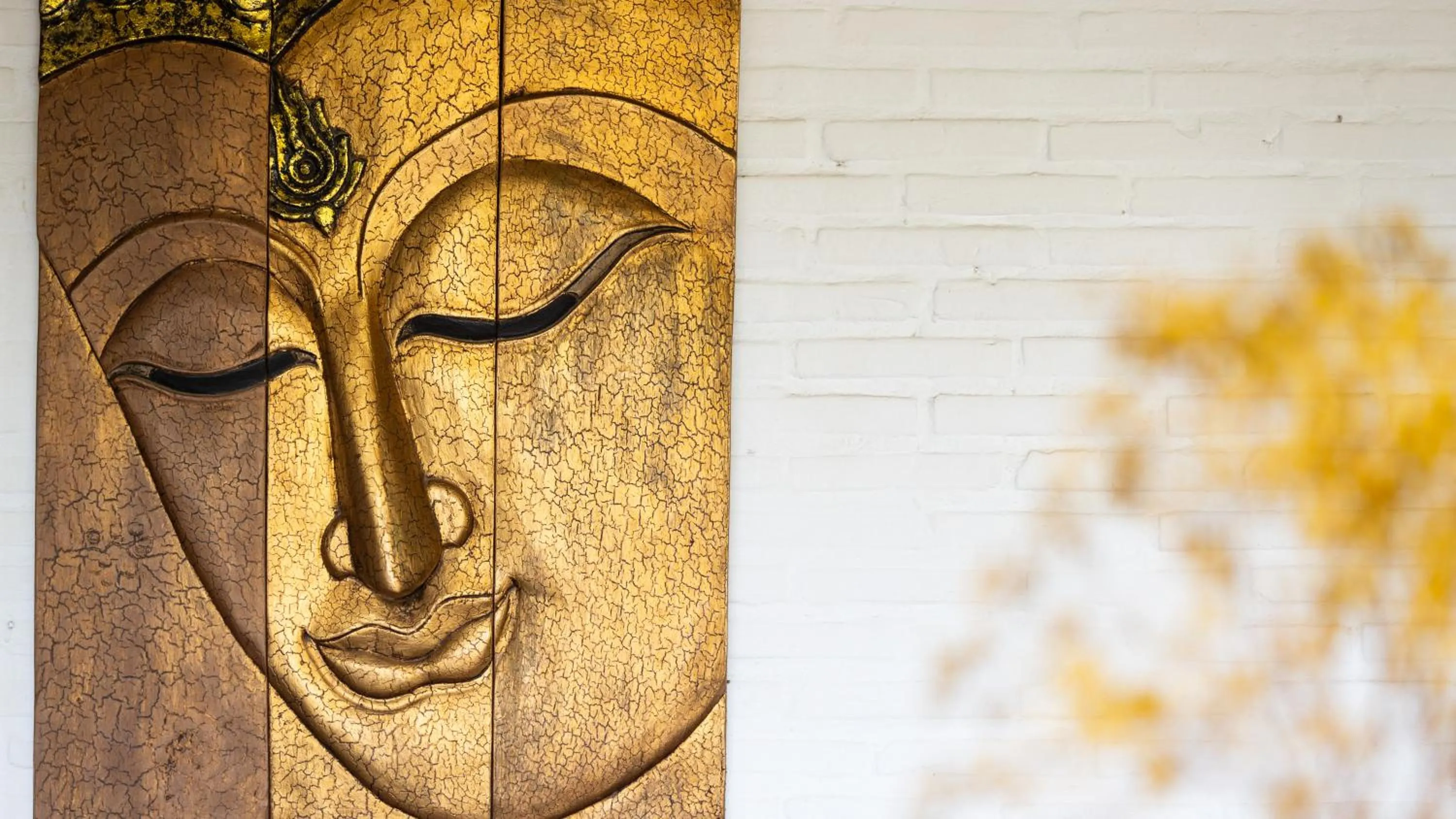 Decorative detail in Pavillon Indochine Boutique - Hotel