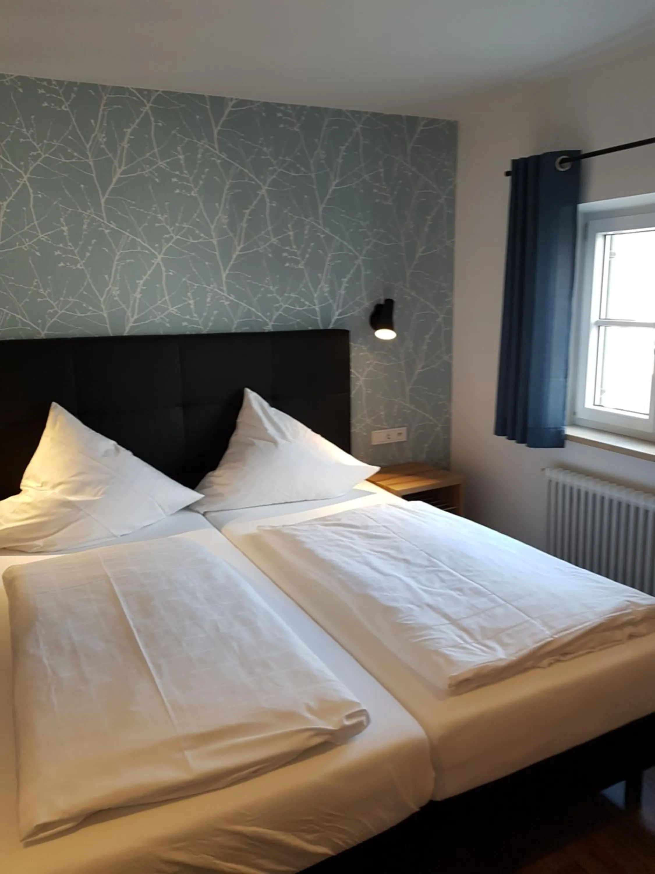 Double Room in Hotel Gasthof Traubenbräu
