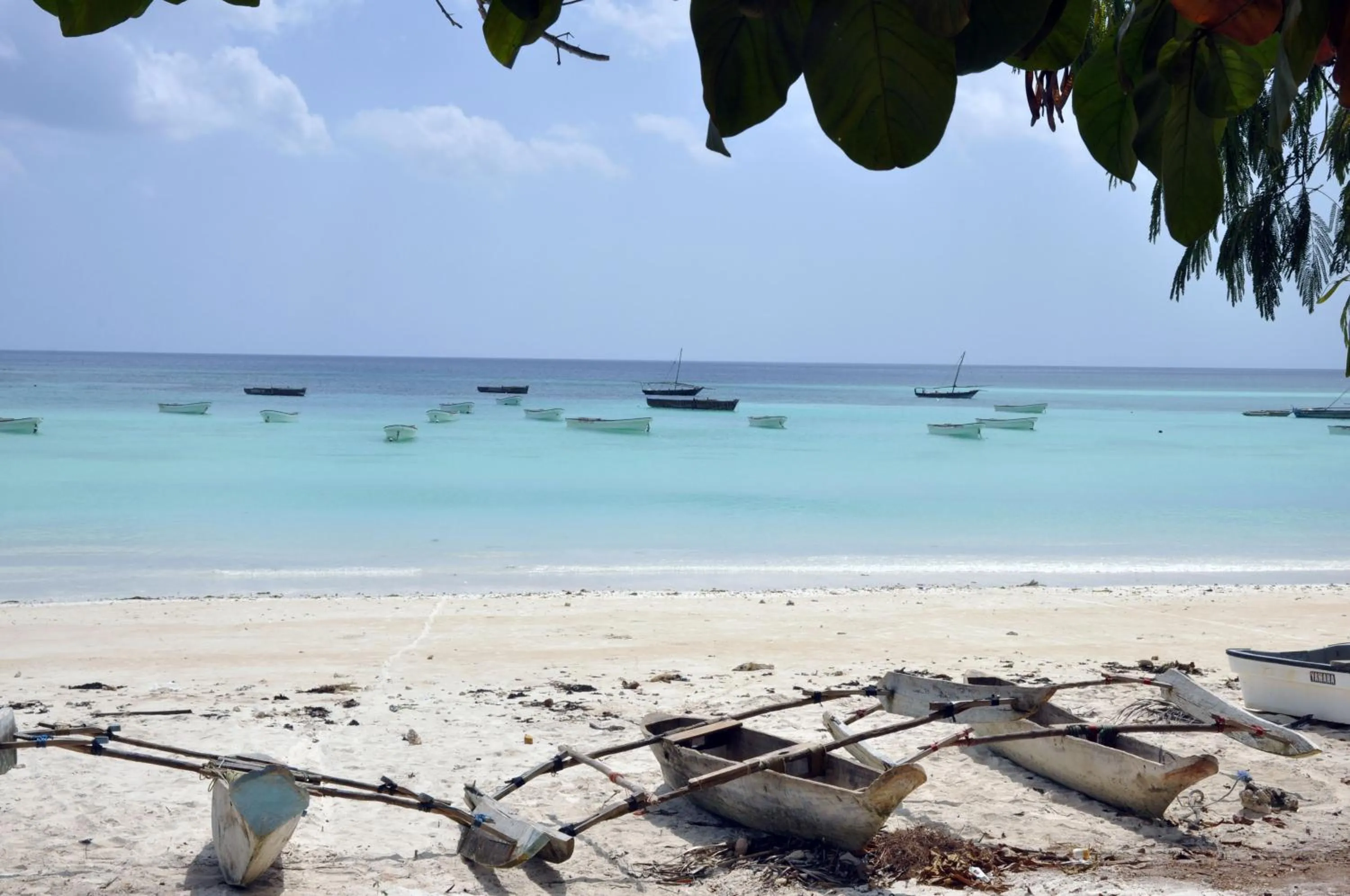Natural landscape in Villa Huruma