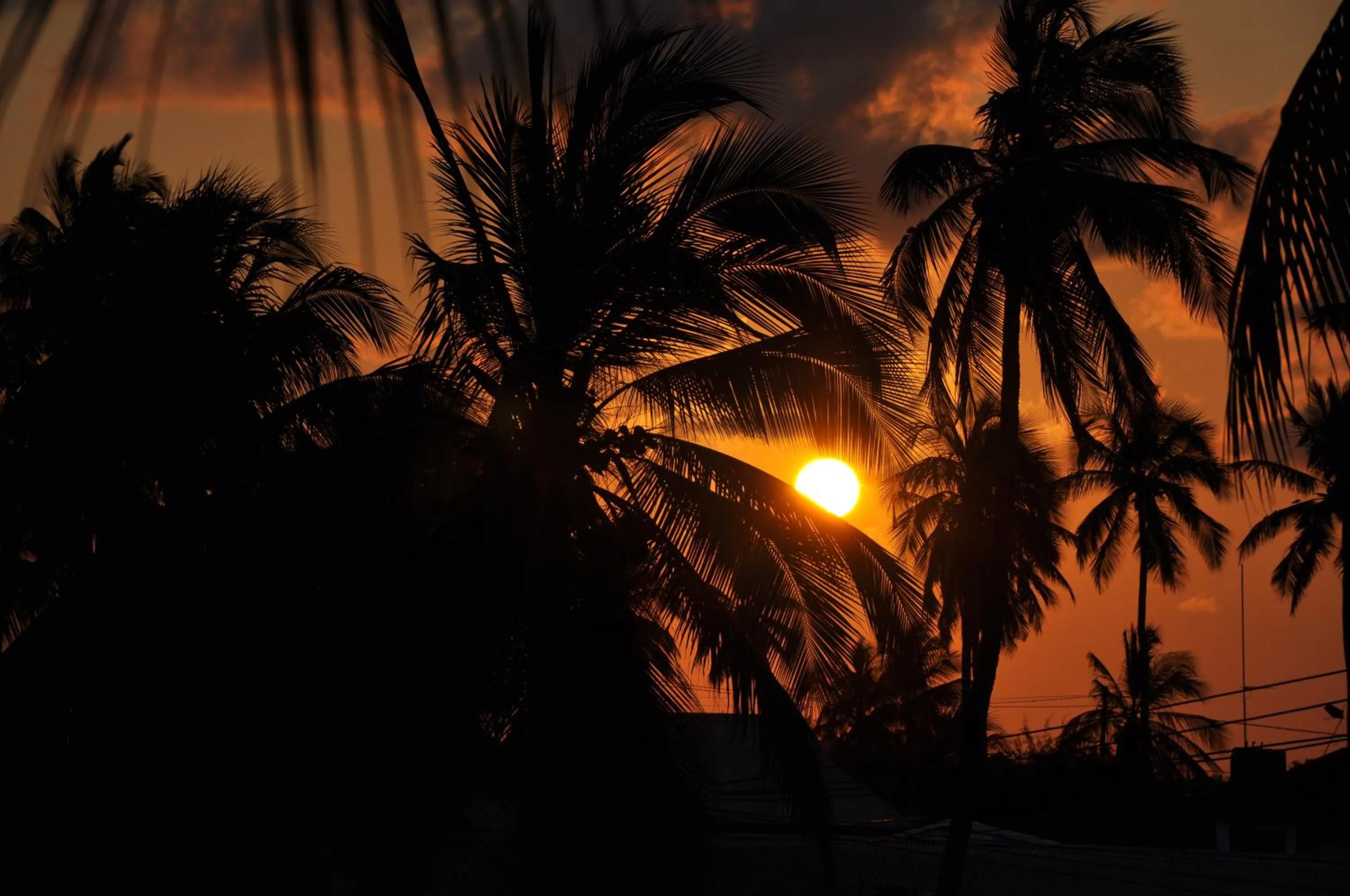 Natural landscape in Villa Huruma