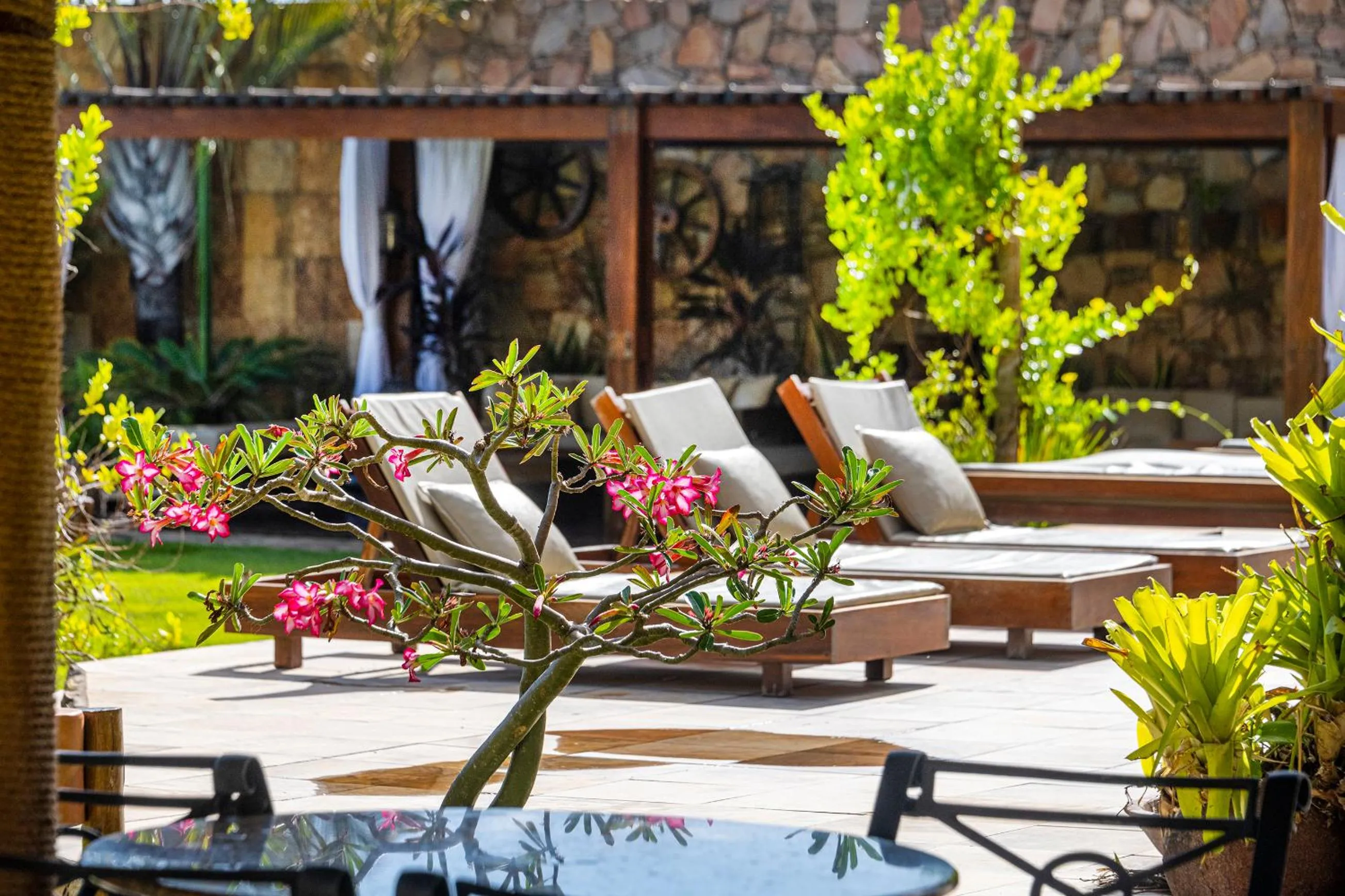 Garden in Natal Dunnas Hotel