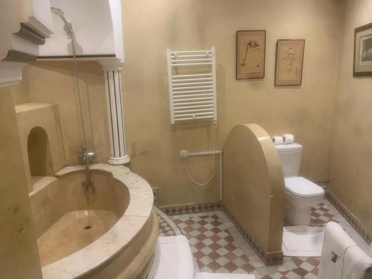 Bathroom in Indian Palace