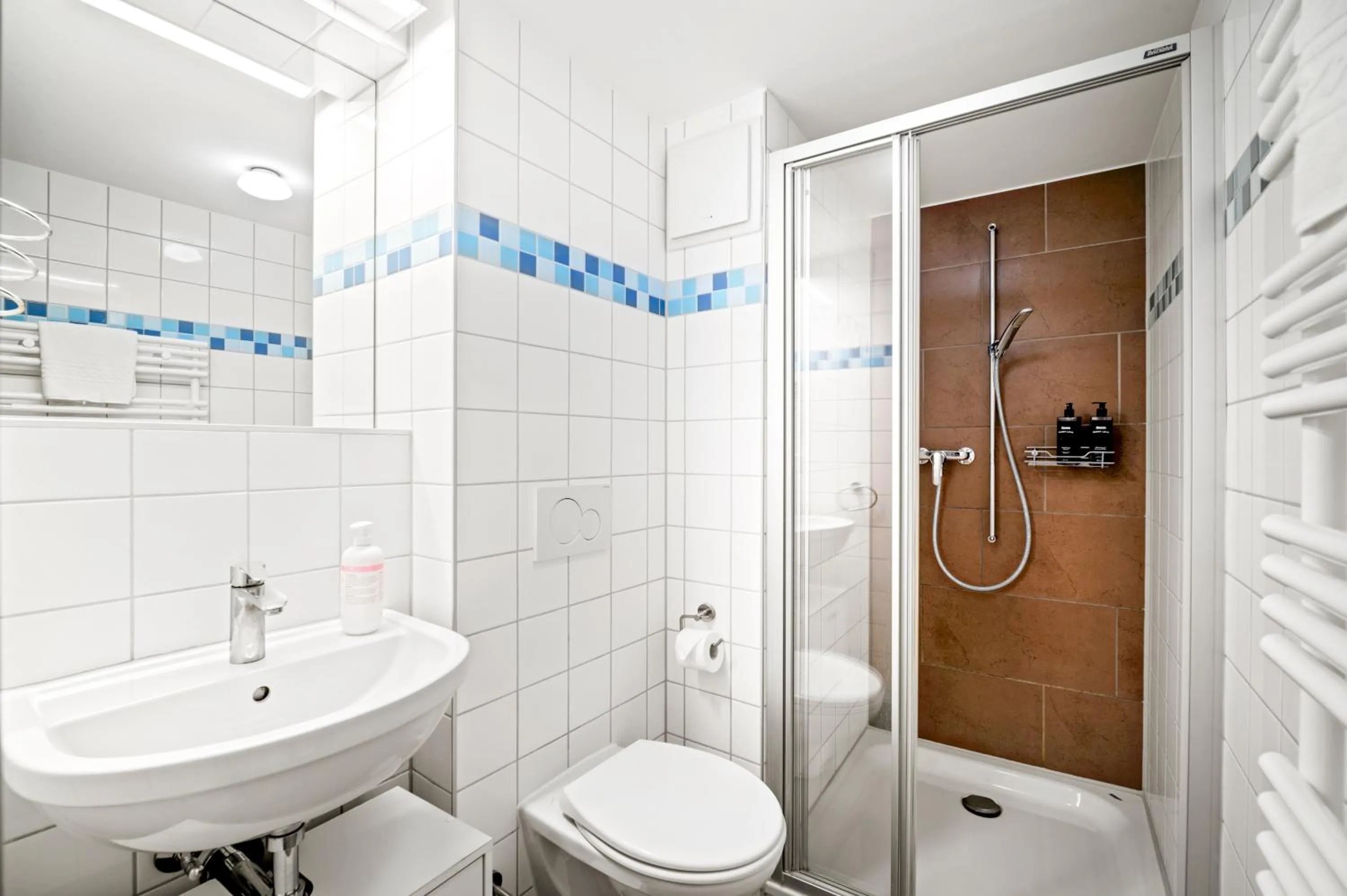 Shower in Aparthotel Hine Adon Fribourg