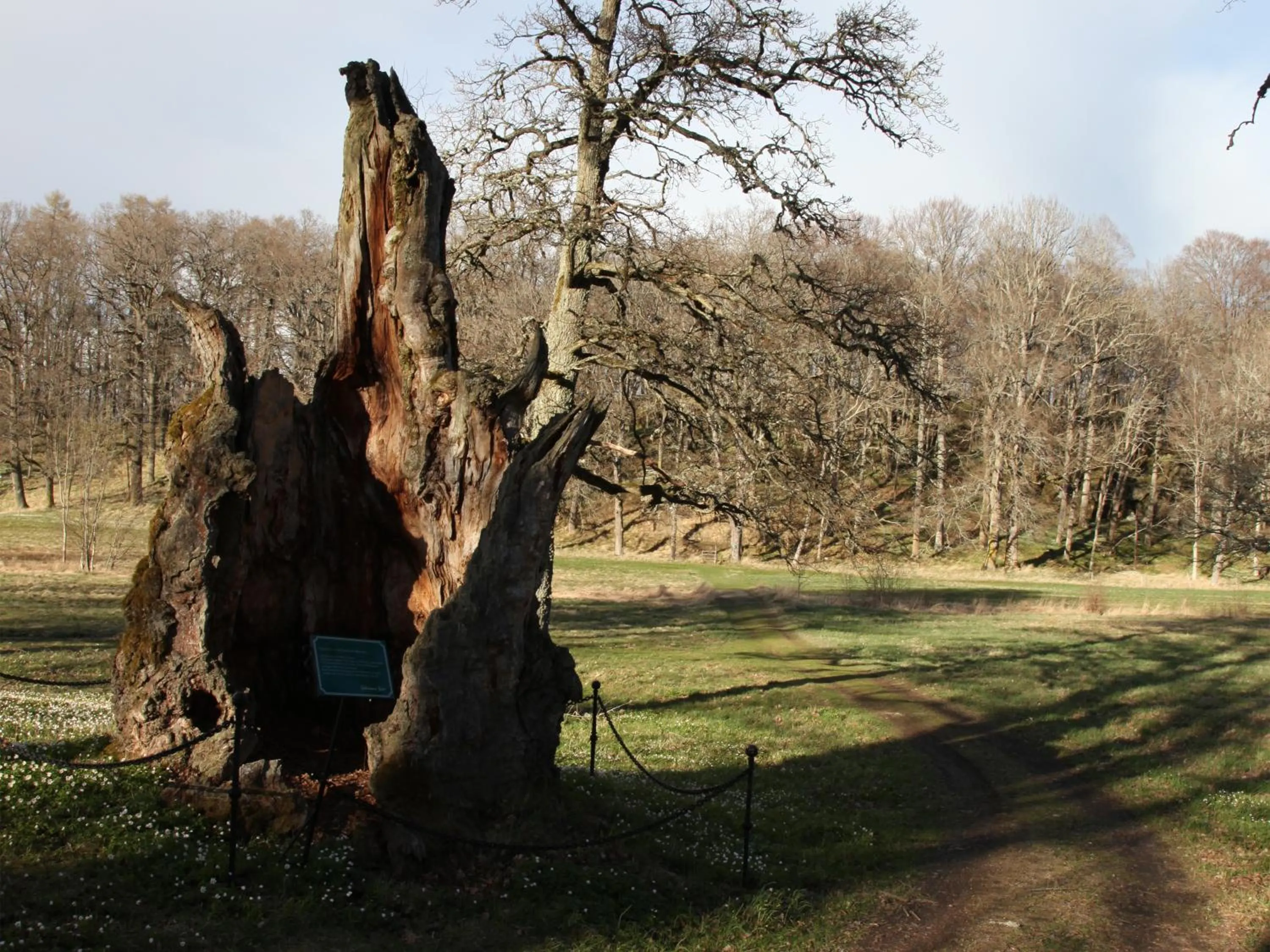 Garden in Södertuna Slott
