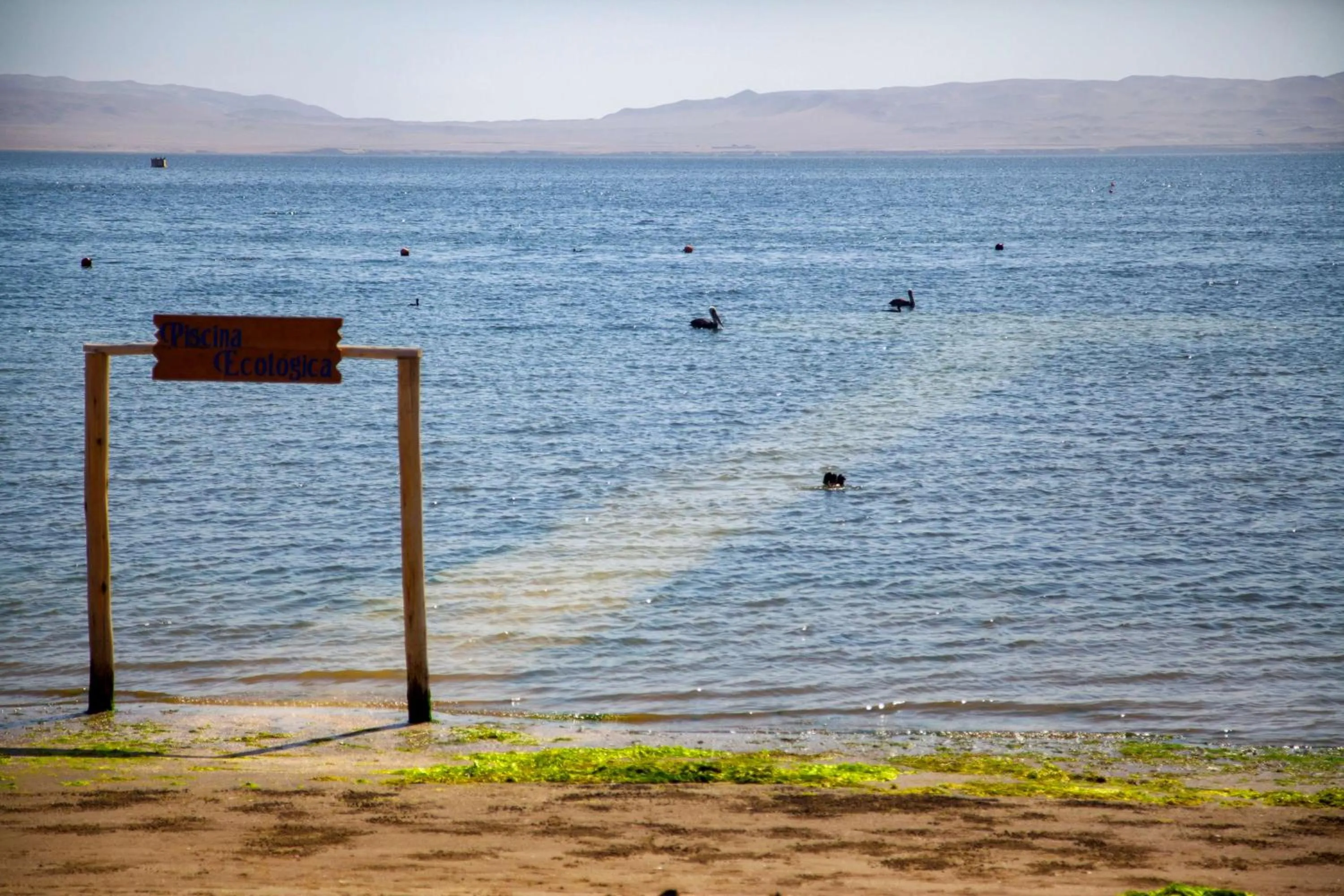 Pool view in The Legend Paracas Resort, a Destination by Hyatt Hotel