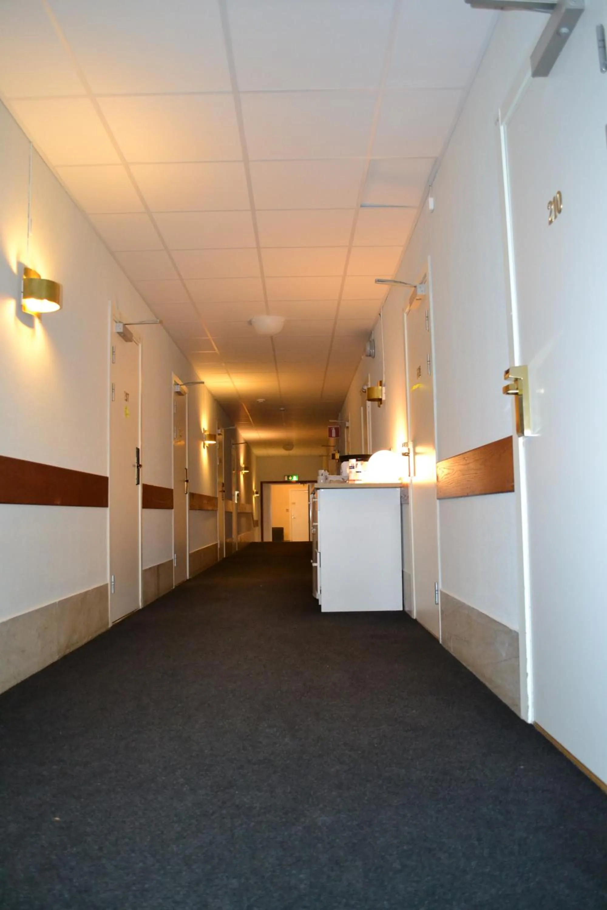 Property building in Hotell Skinnargården