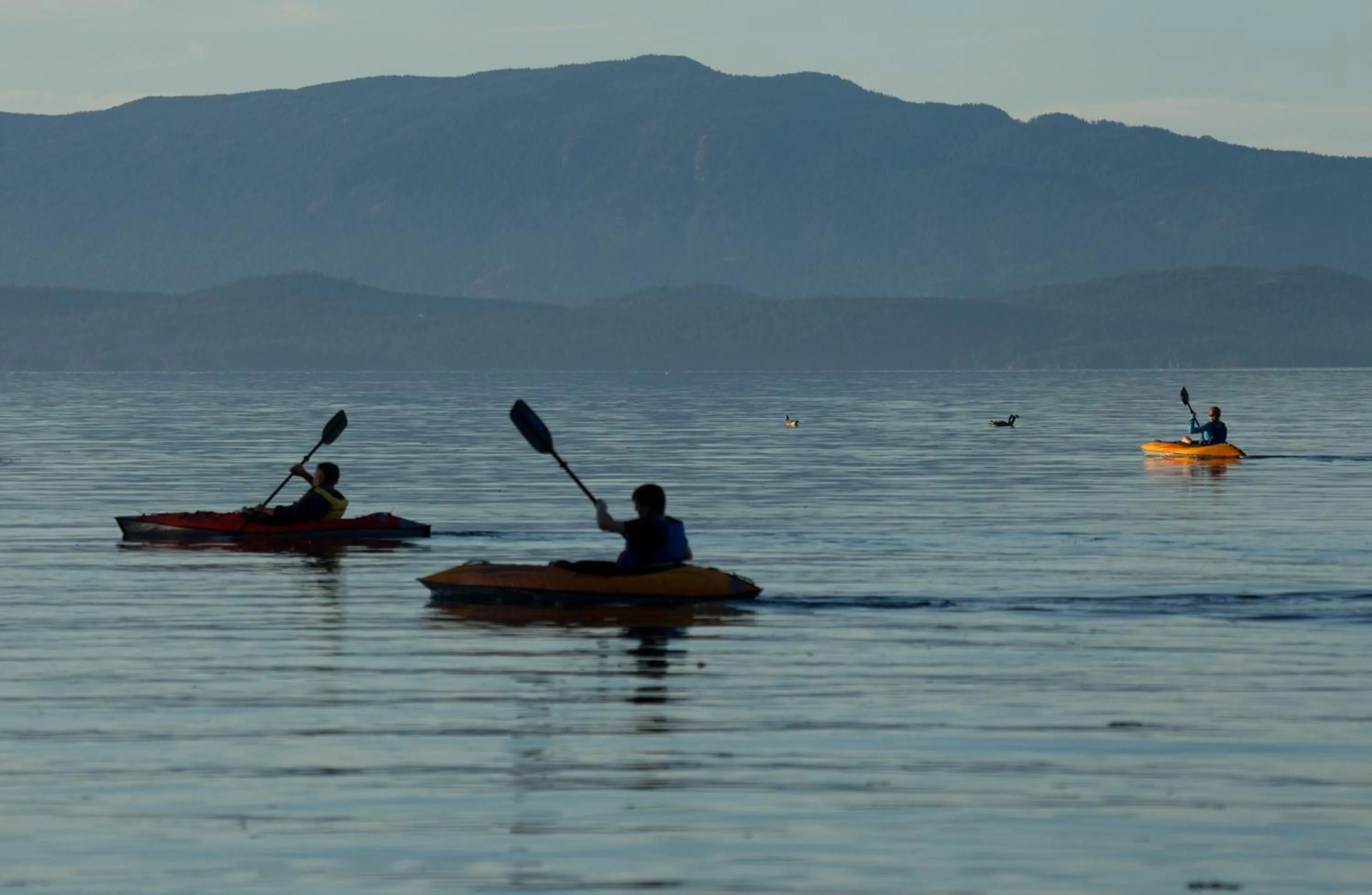 Area and facilities in Sunrise Ridge Waterfront Resort