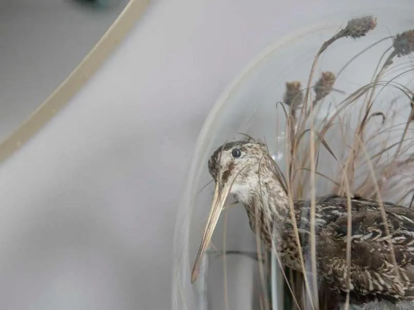 Other in Pembroke Hall