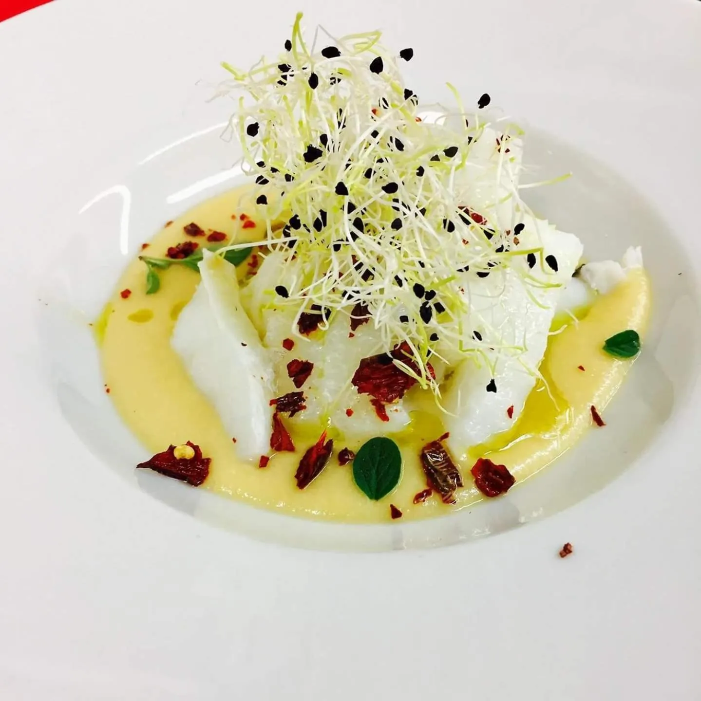 Restaurant/places to eat in Ginepro d'Abruzzo