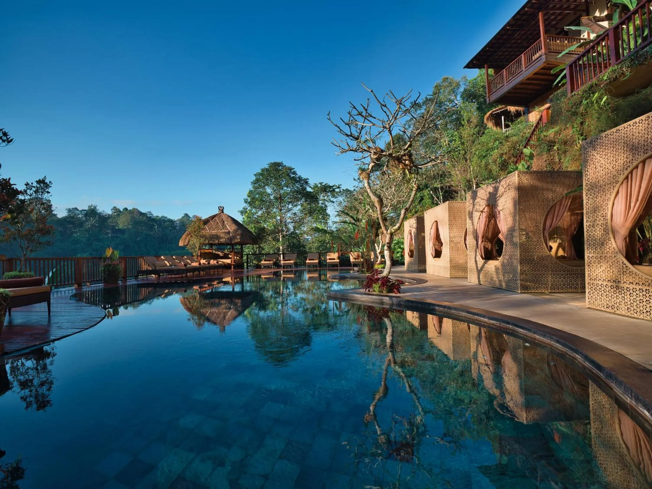 Swimming pool in Nandini Jungle by Hanging Gardens